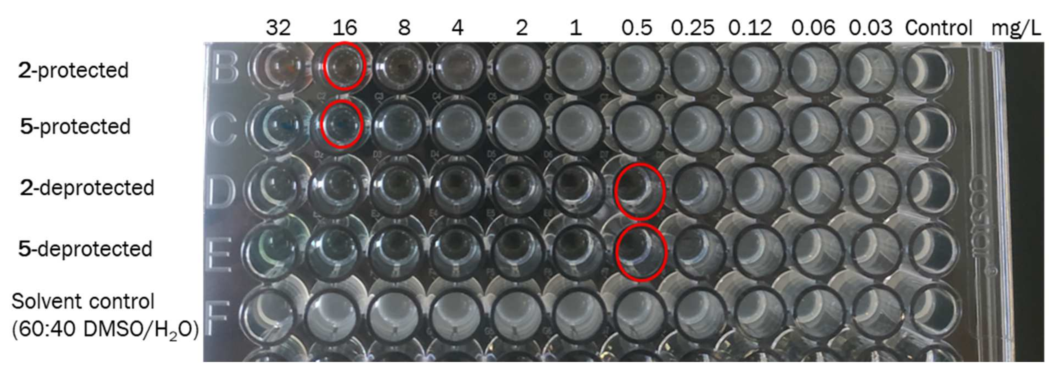 Pharmaceutics 14 01070 g007 550