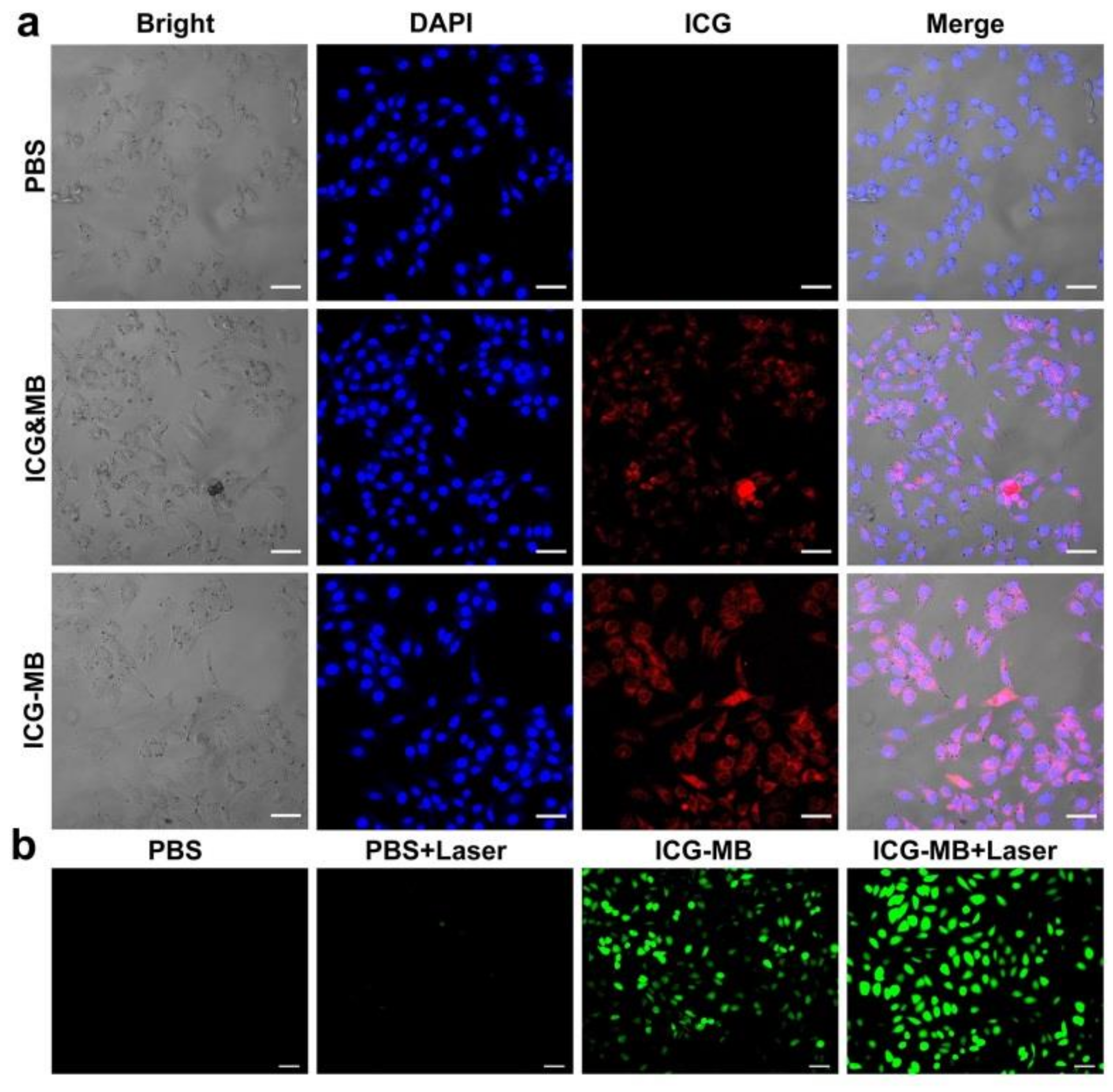 Pharmaceutics 14 01074 g004 550