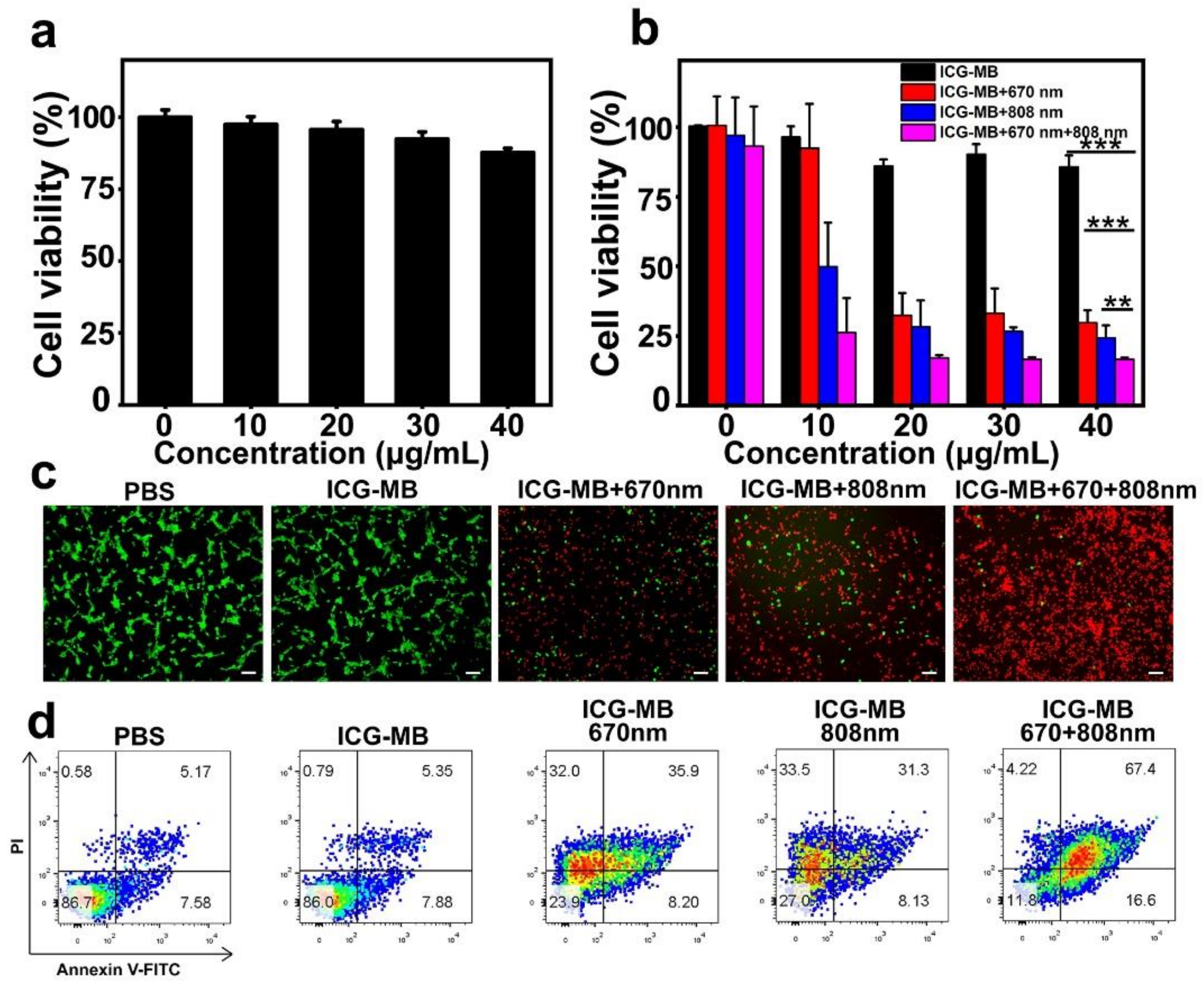 Pharmaceutics 14 01074 g005 550