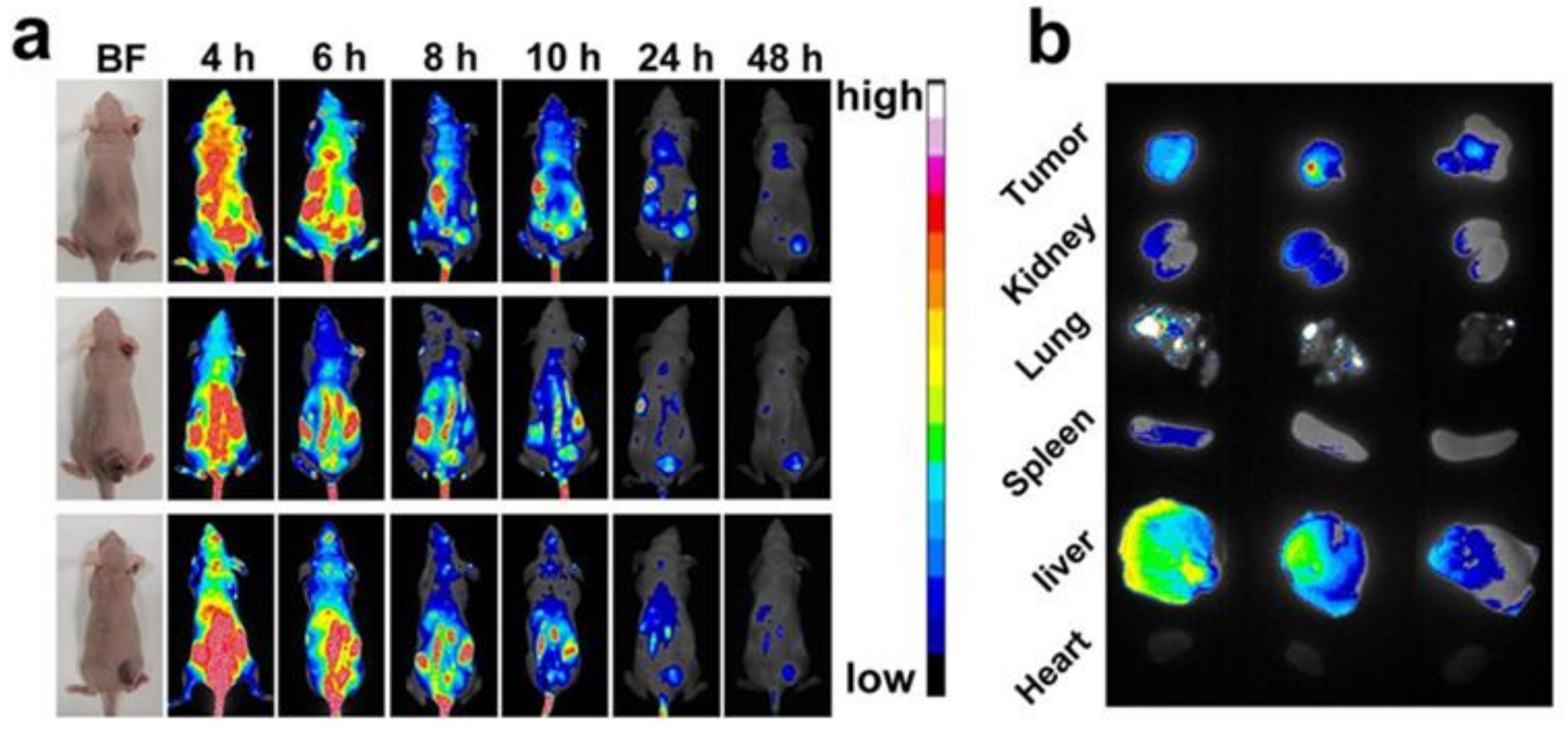 Pharmaceutics 14 01074 g006 550