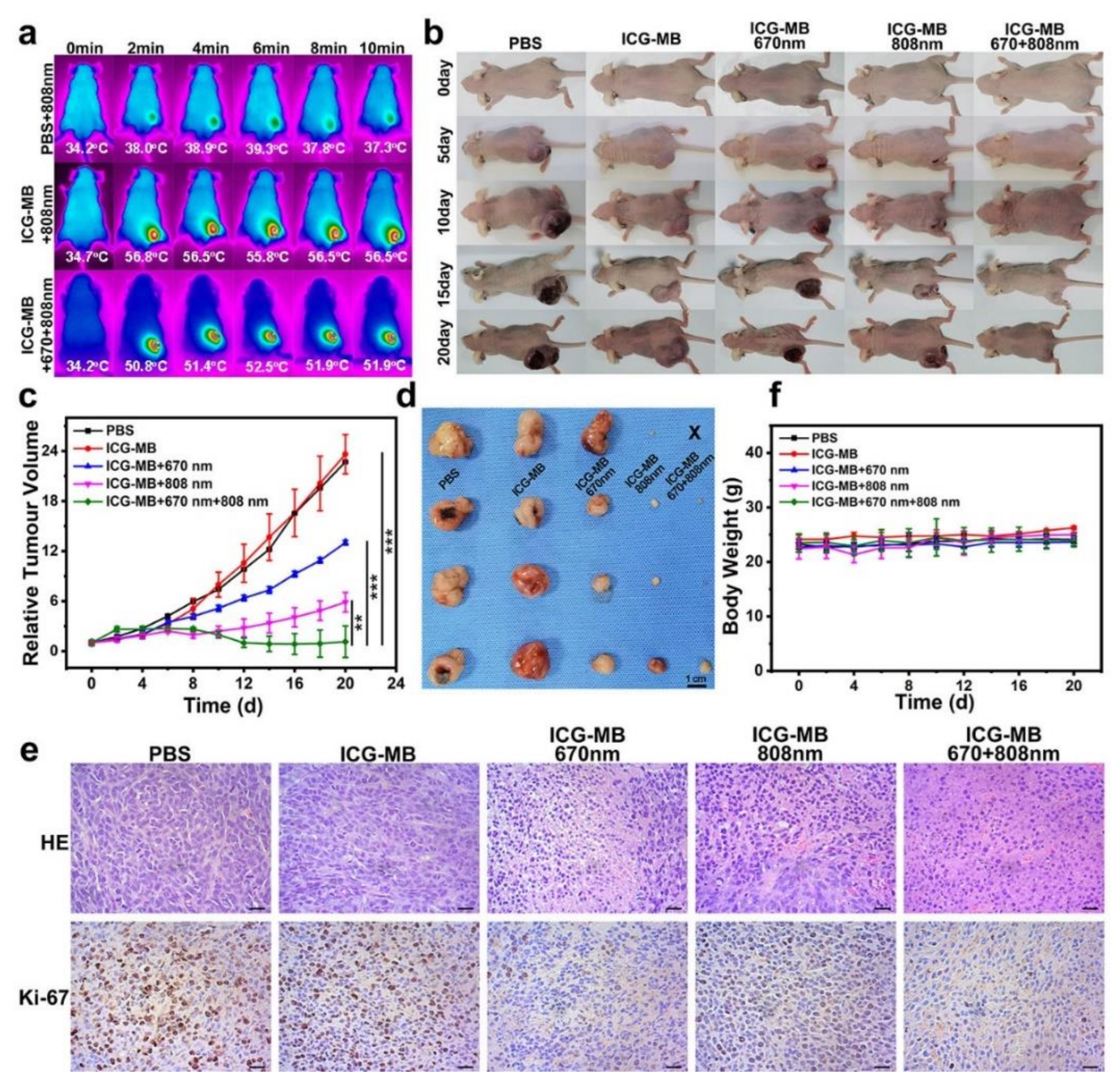 Pharmaceutics 14 01074 g007 550
