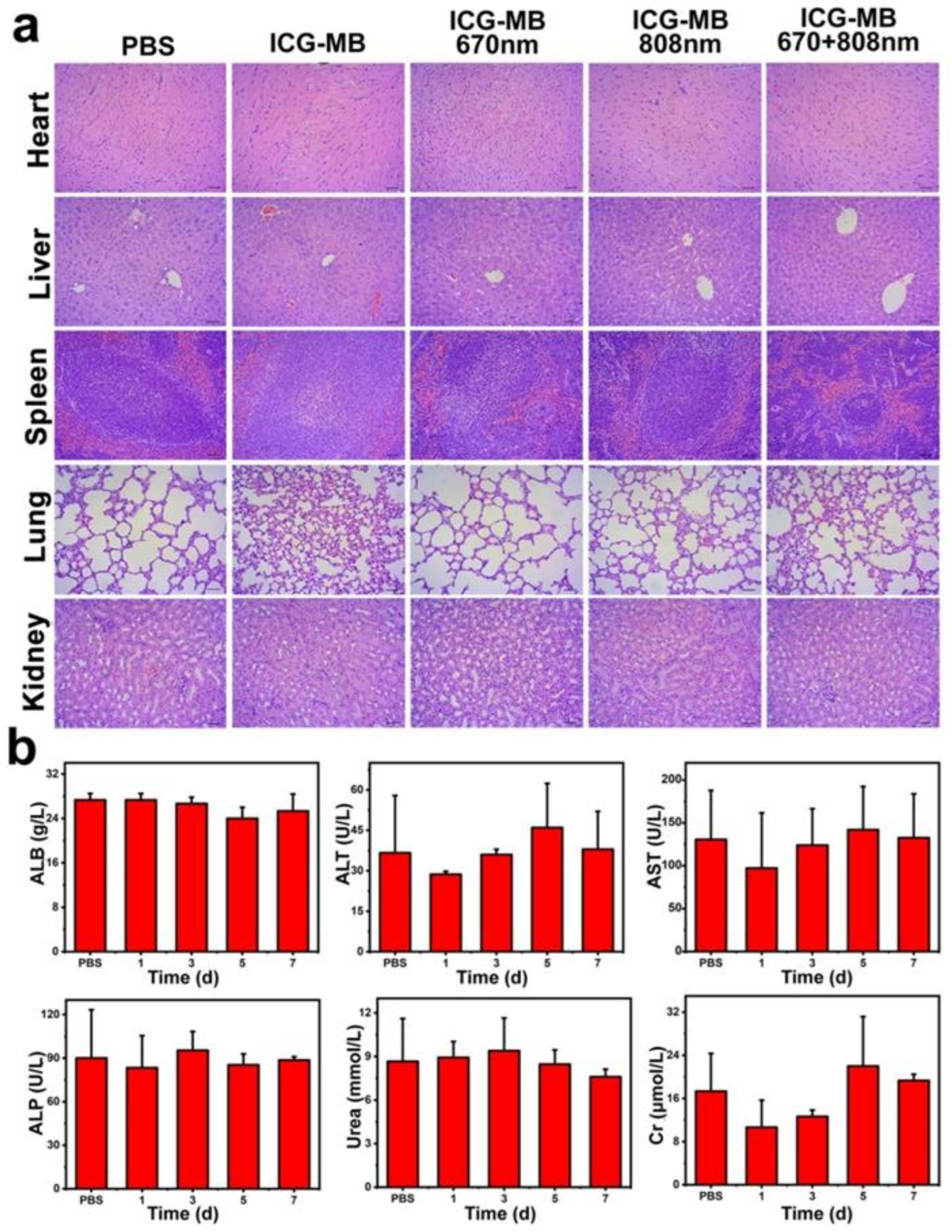 Pharmaceutics 14 01074 g008 550