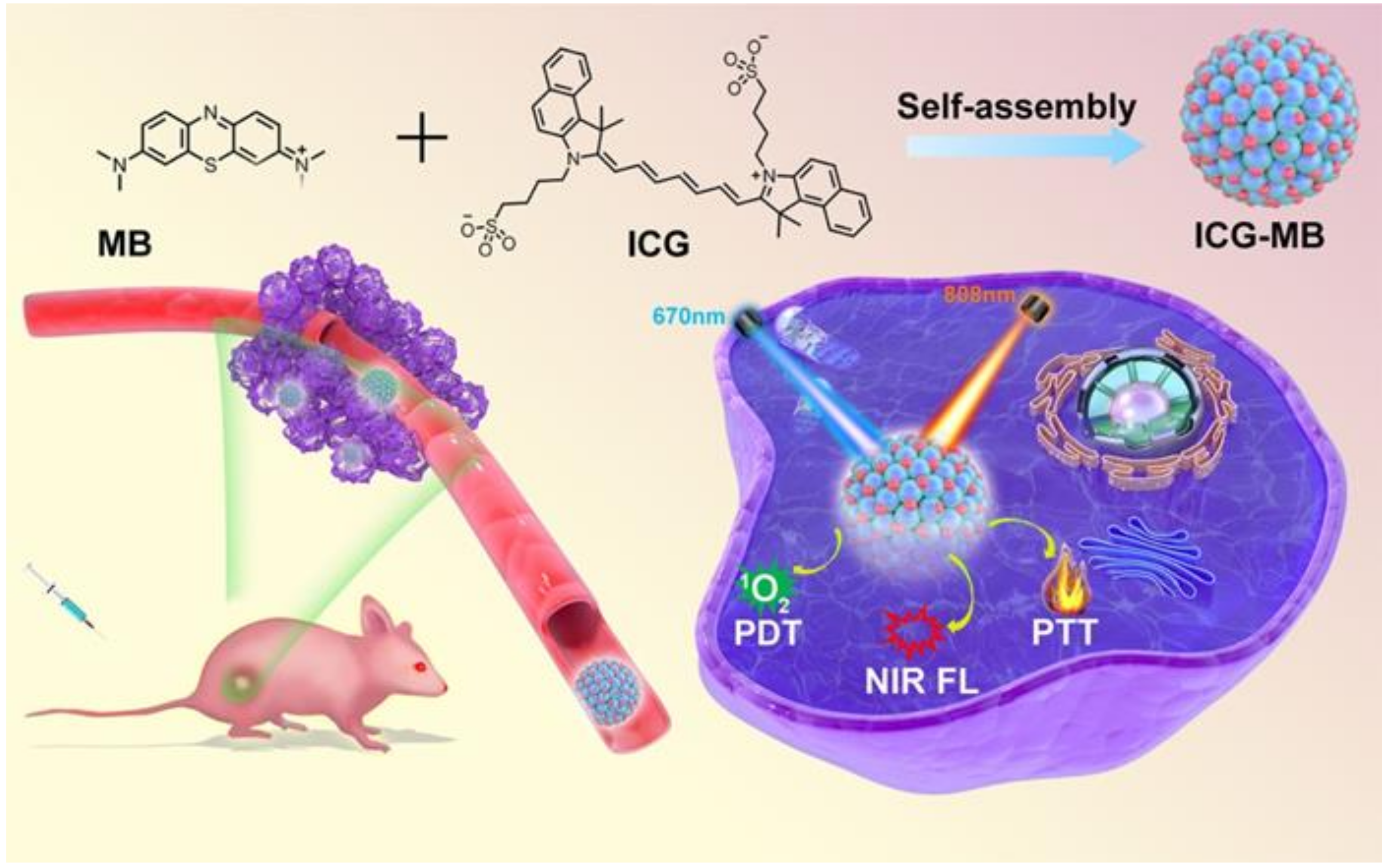 Pharmaceutics 14 01074 sch001 550