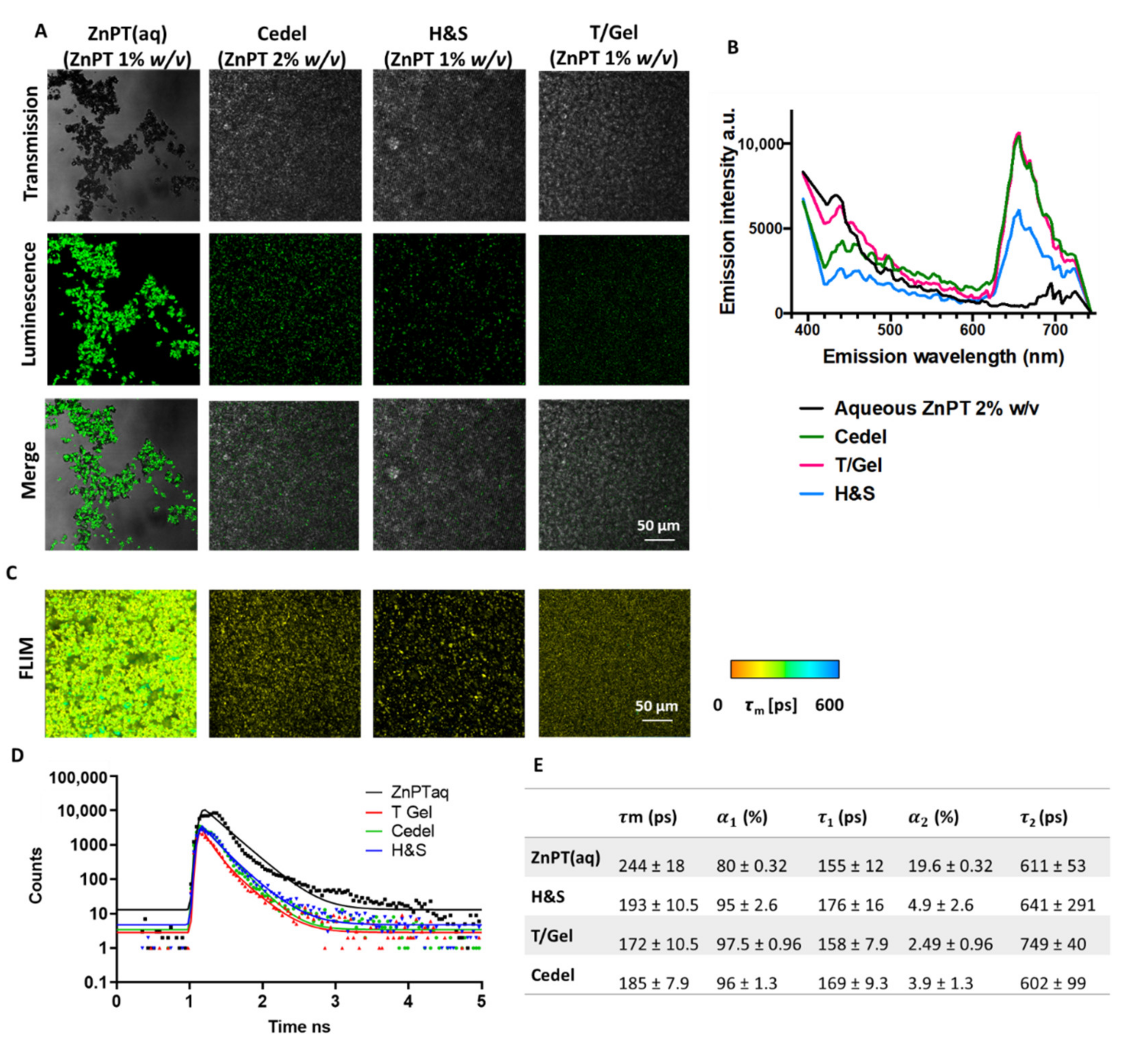 Pharmaceutics 14 01076 g001