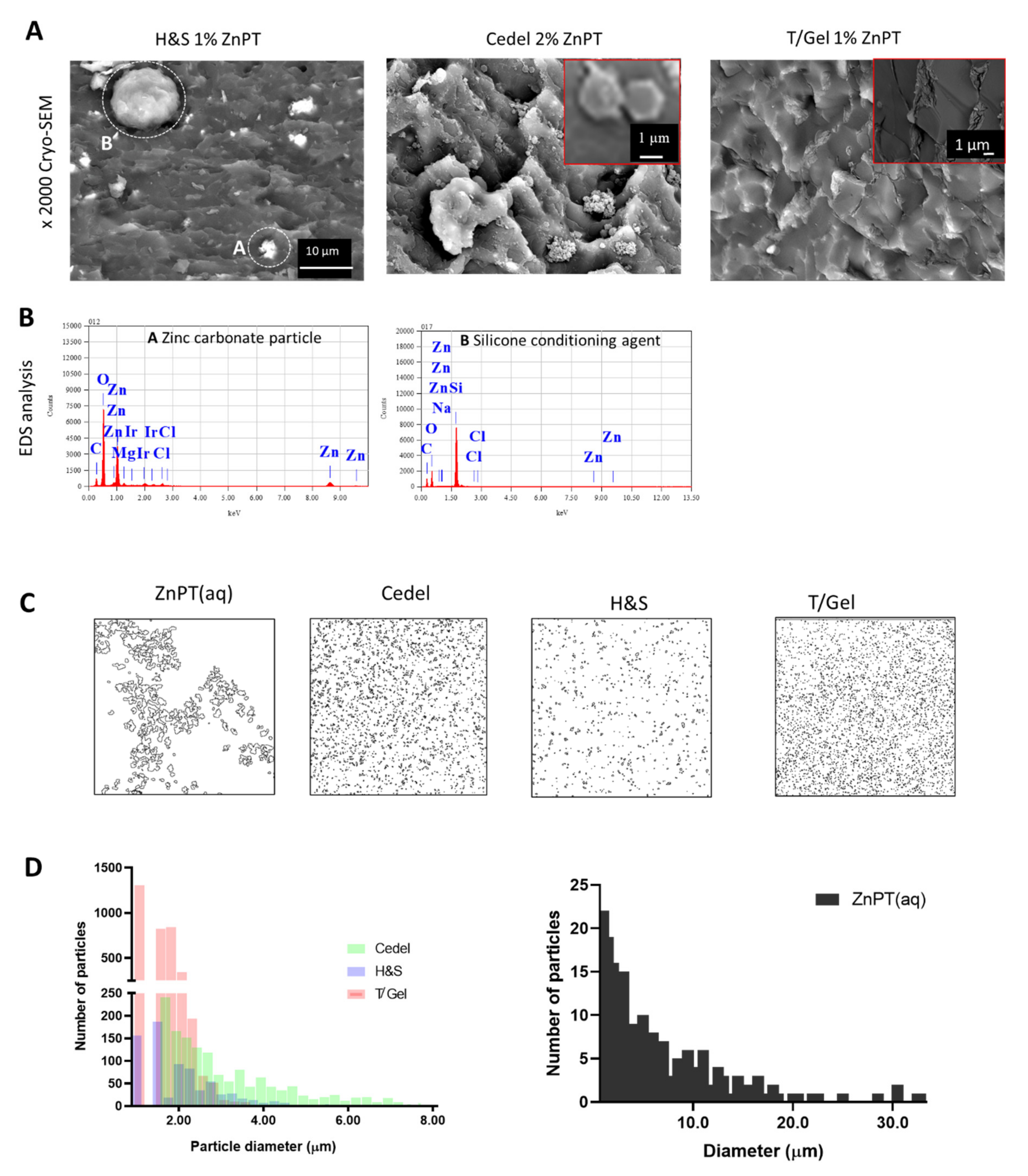 Pharmaceutics 14 01076 g002