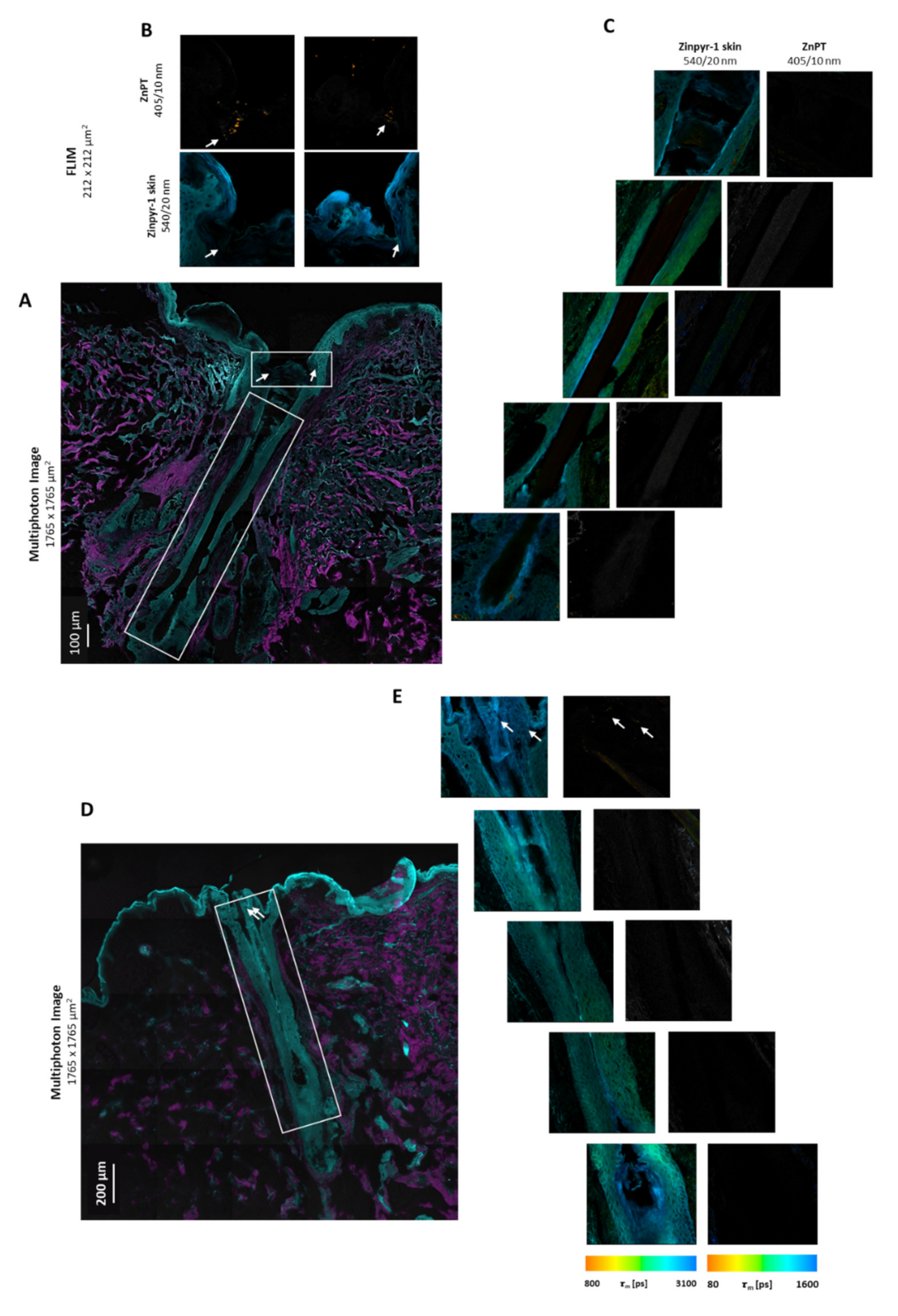 Pharmaceutics 14 01076 g004