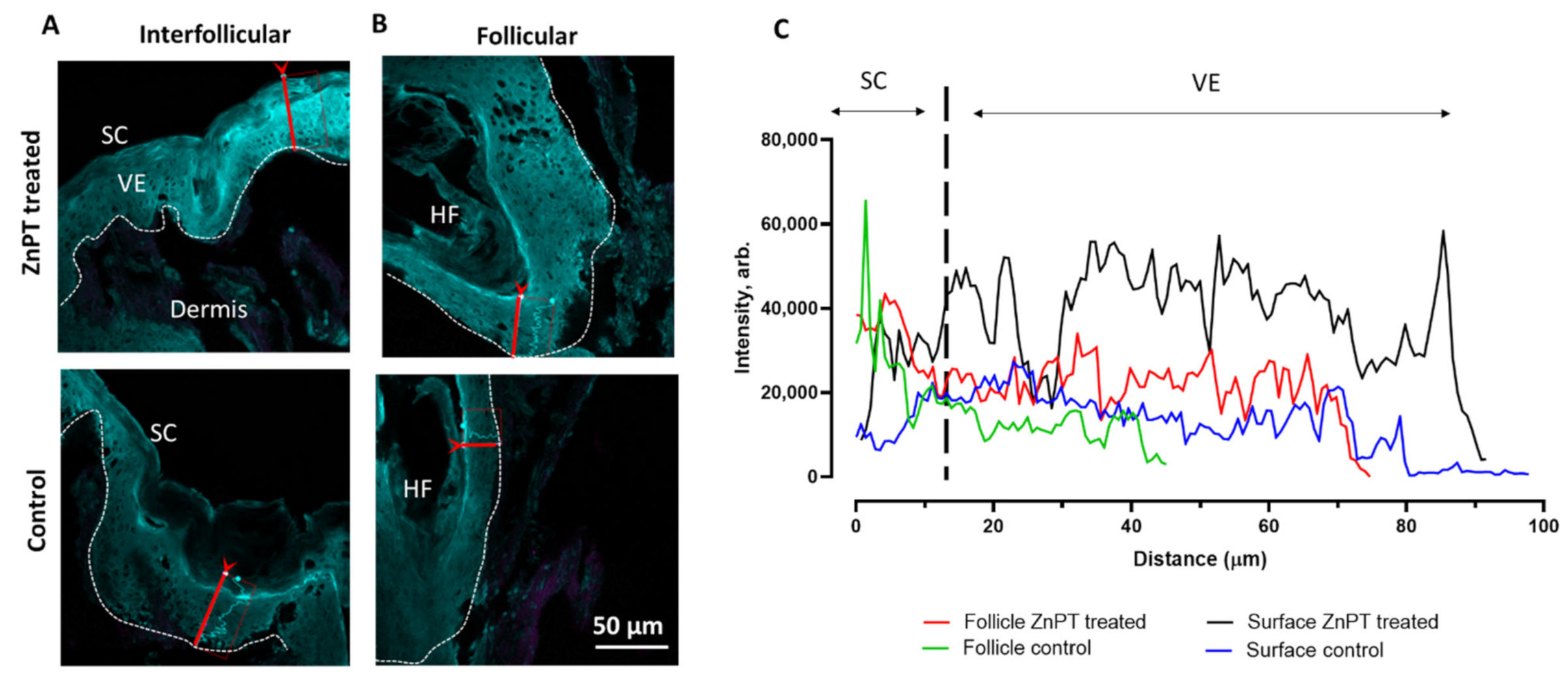 Pharmaceutics 14 01076 g005a