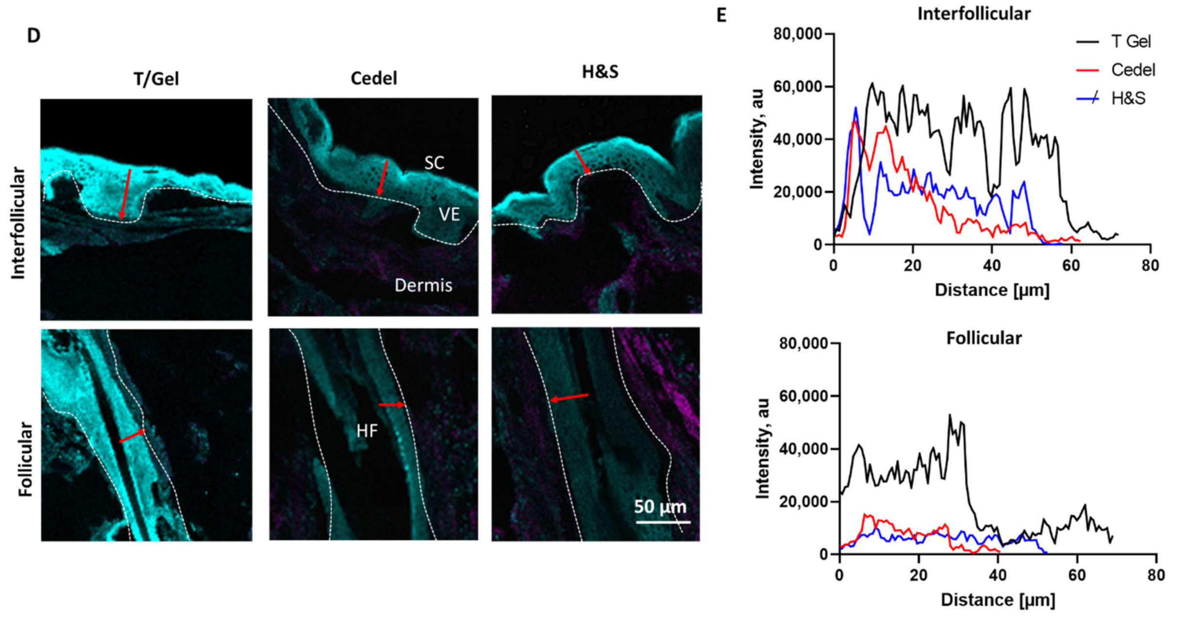 Pharmaceutics 14 01076 g005b