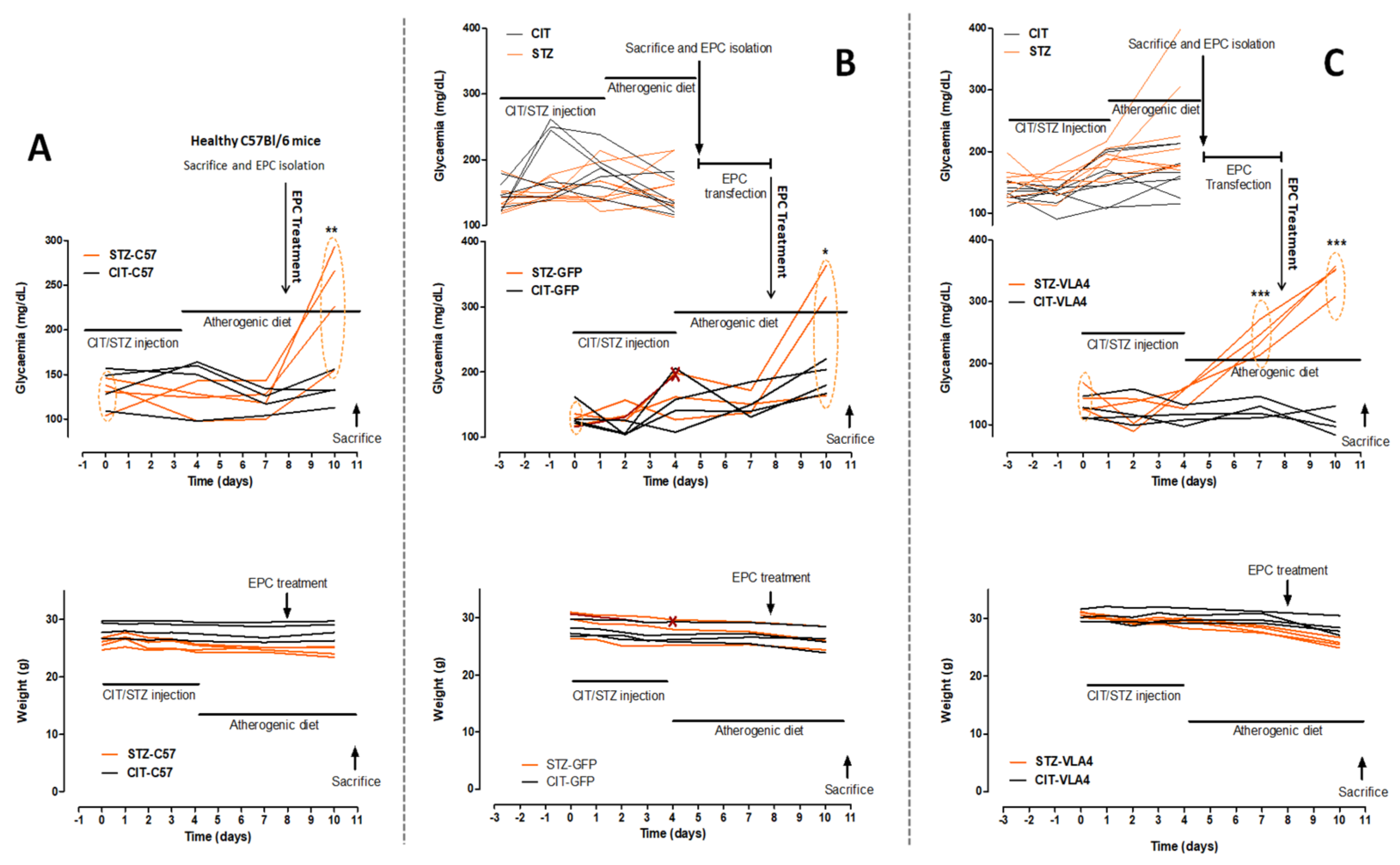 Pharmaceutics 14 01077 g001