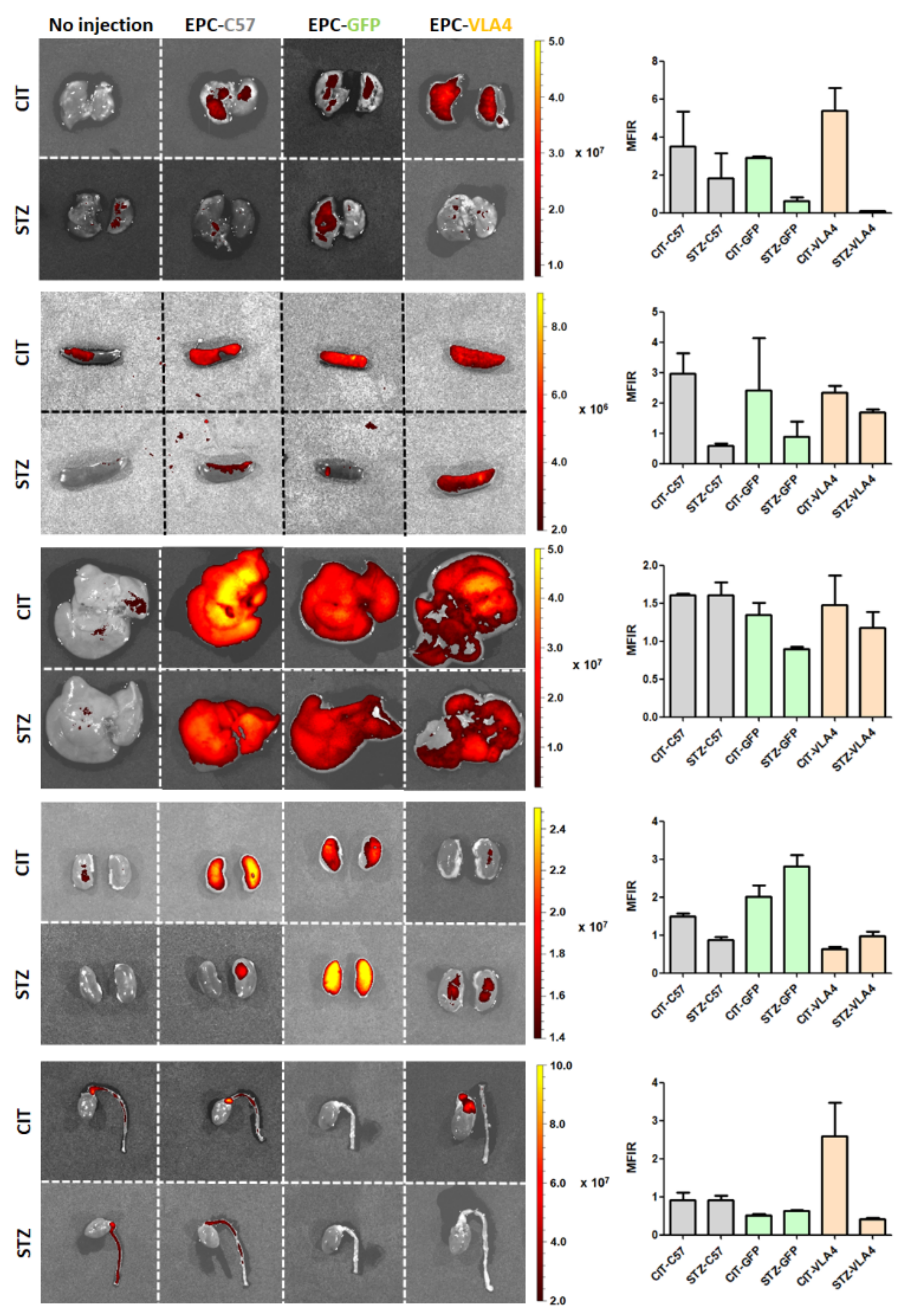 Pharmaceutics 14 01077 g002