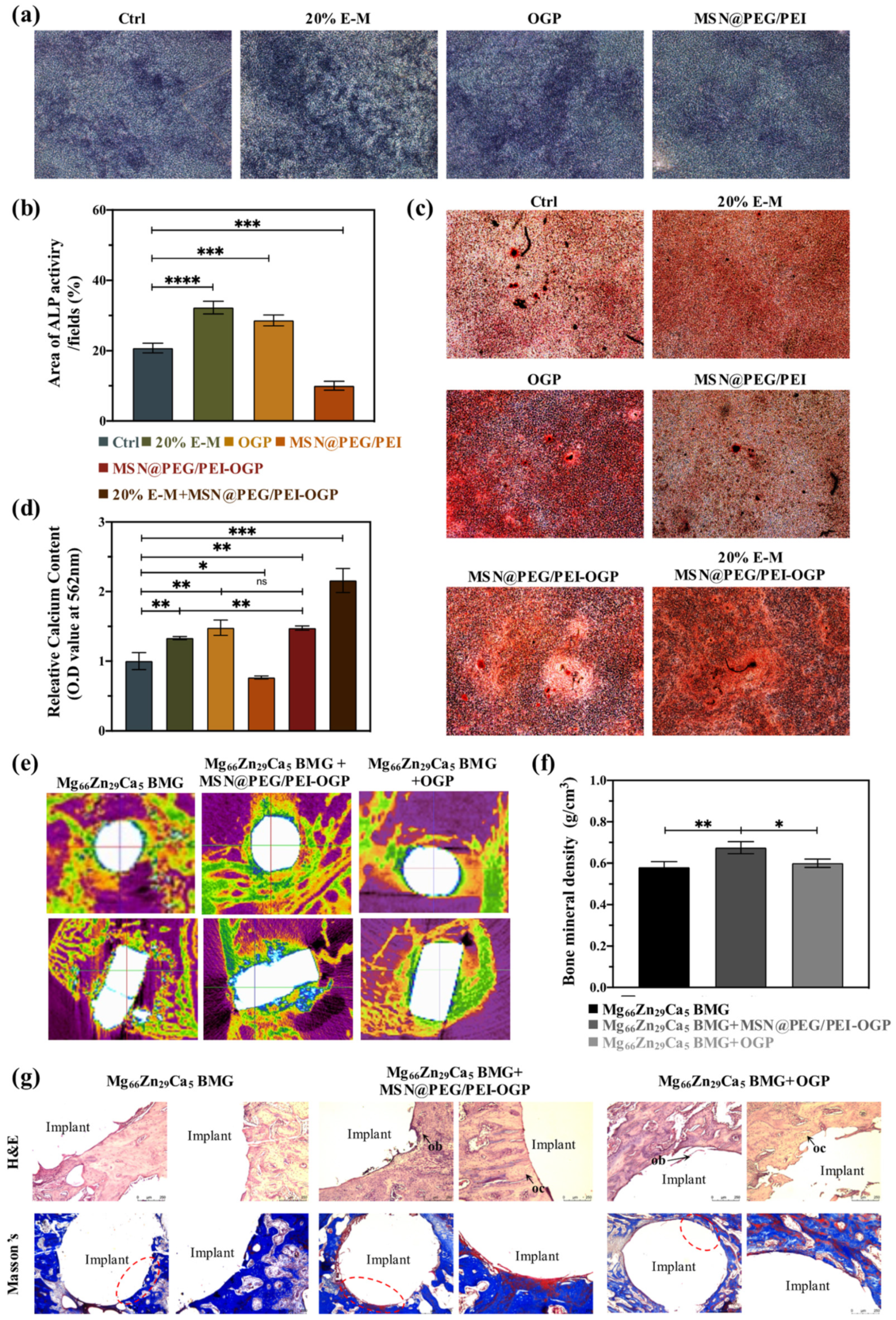 Pharmaceutics 14 01078 g004 550