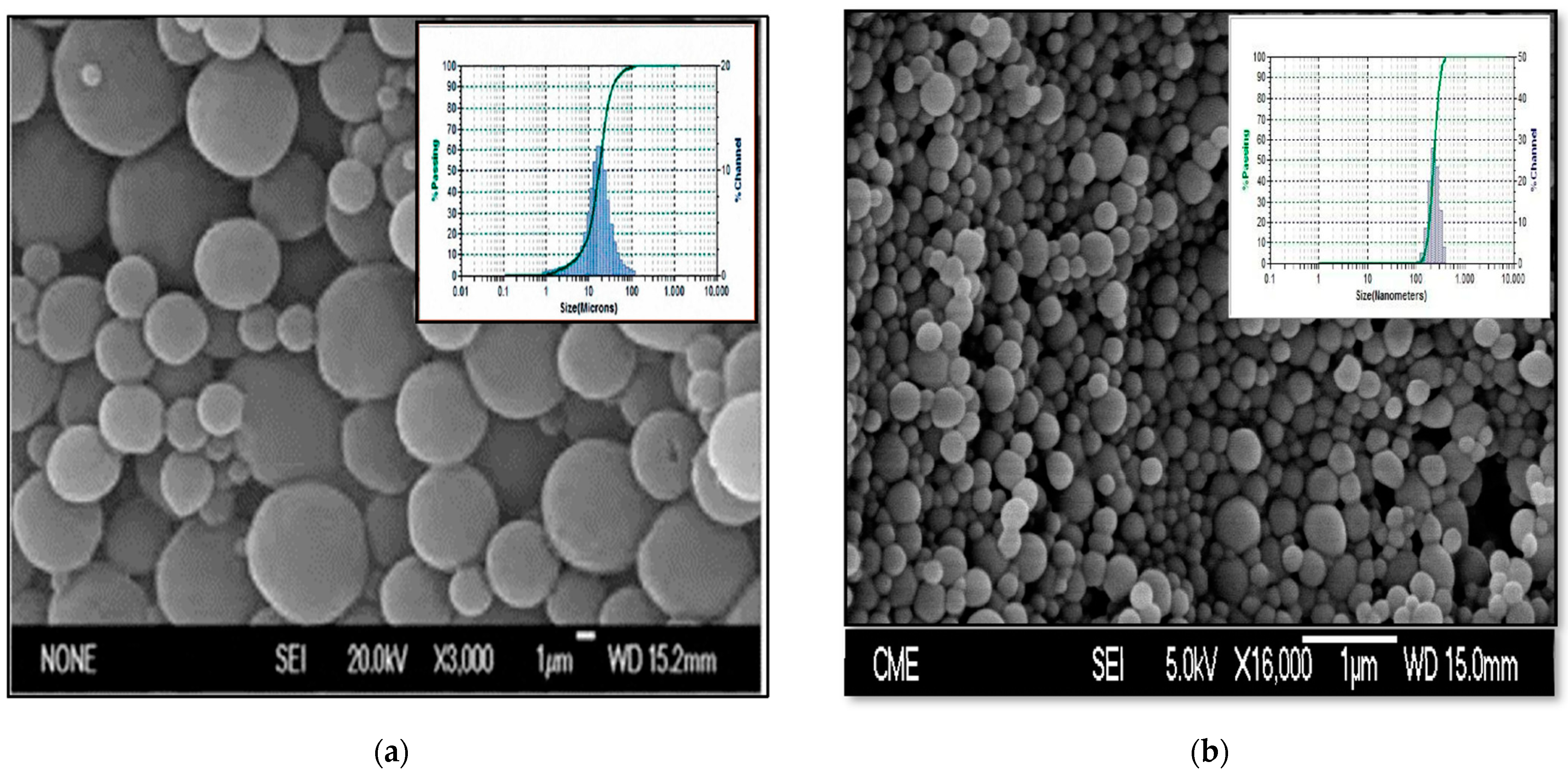 Pharmaceutics 14 01080 g001 Pharmaceutics 14 01080 g001