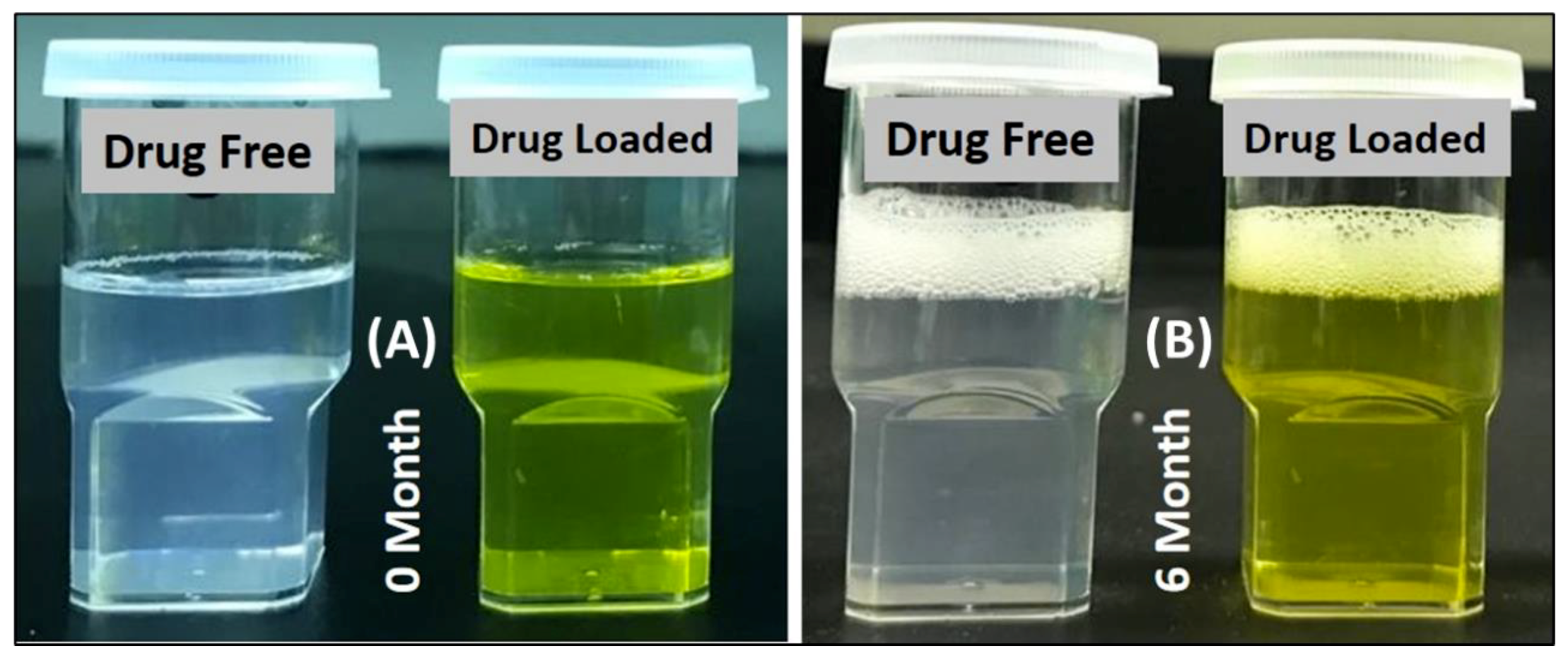 Pharmaceutics 14 01082 g002