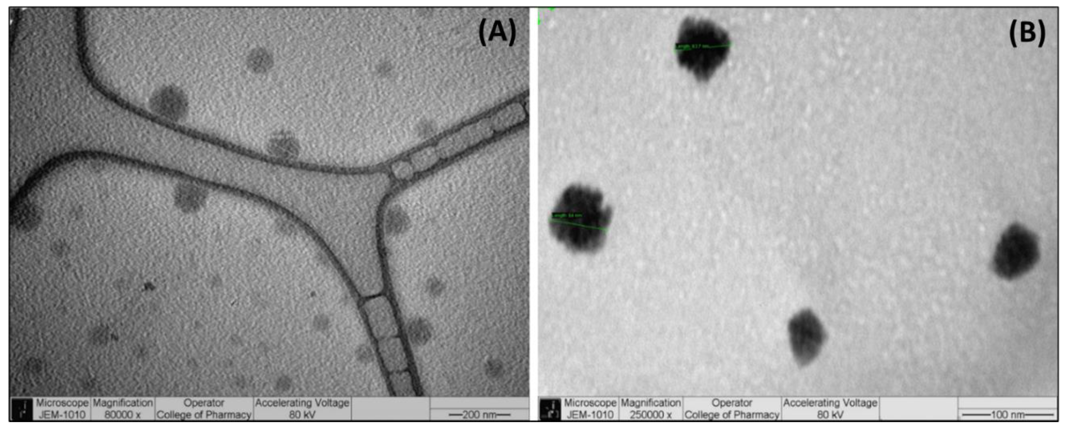Pharmaceutics 14 01082 g003