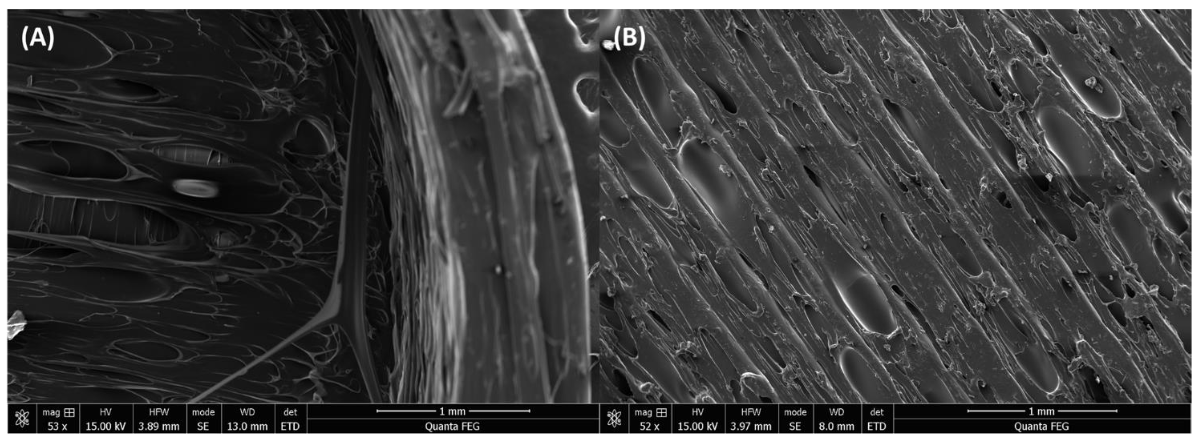 Pharmaceutics 14 01082 g009