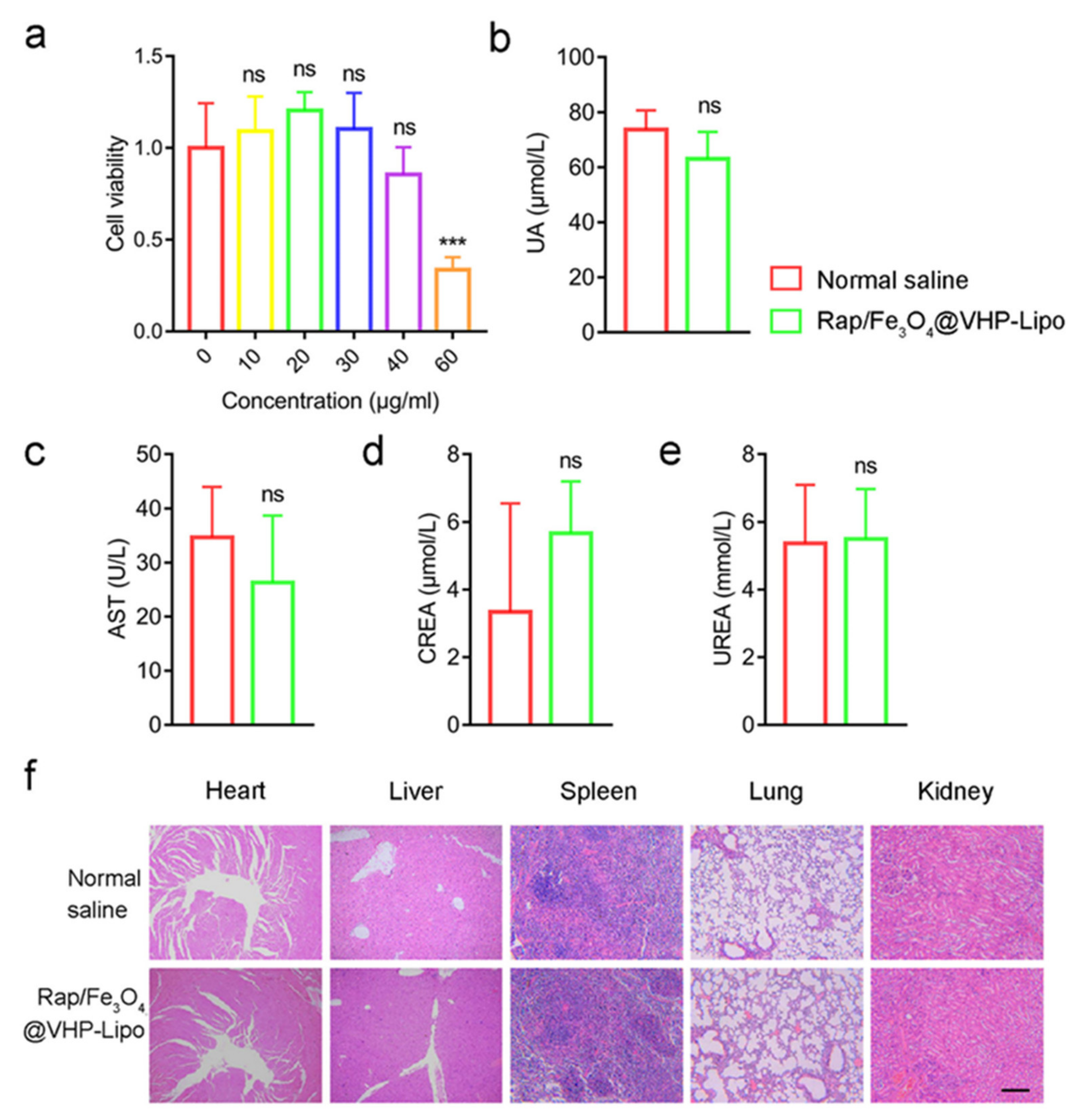 Pharmaceutics 14 01083 g002 550