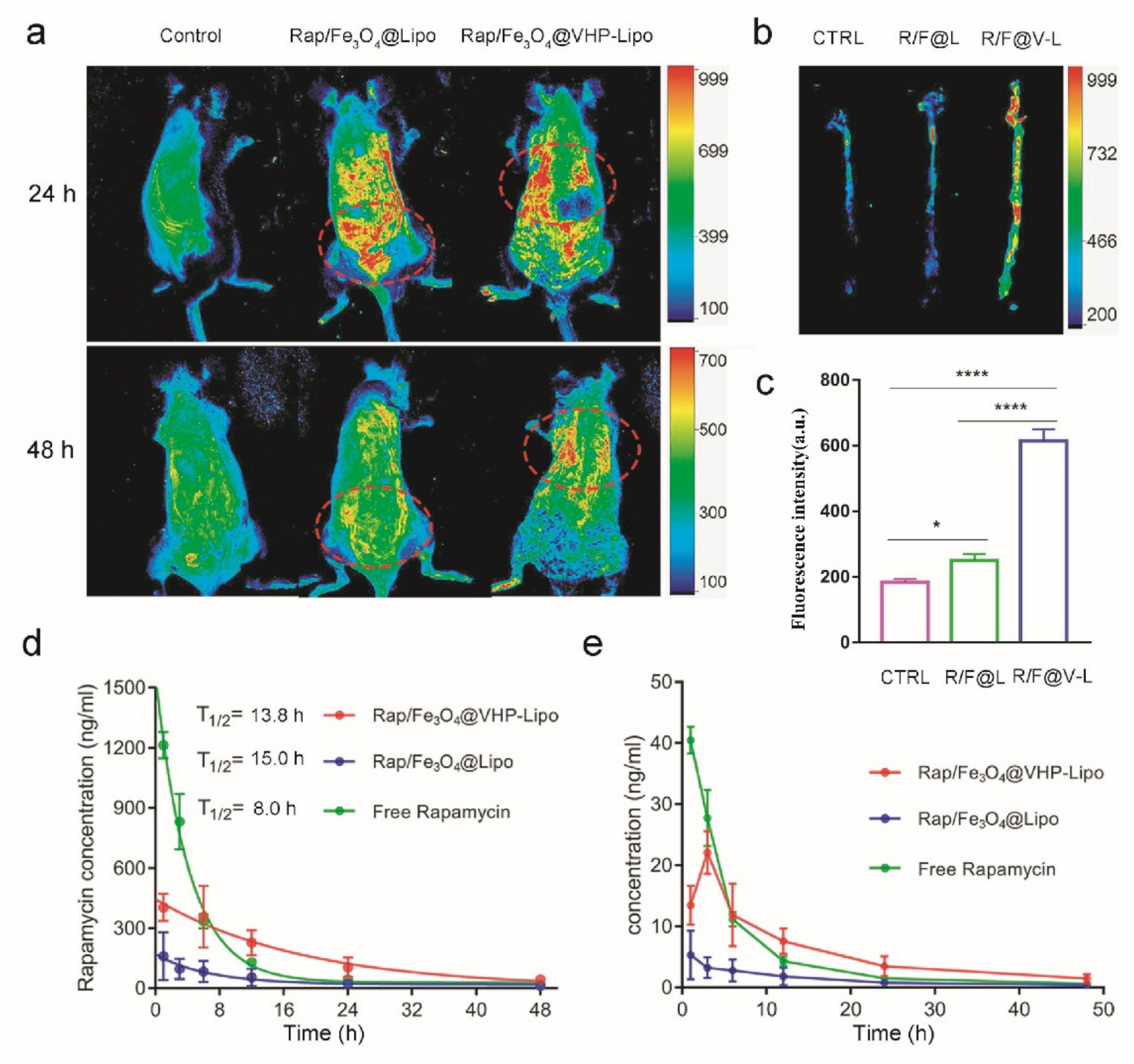 Pharmaceutics 14 01083 g004 550