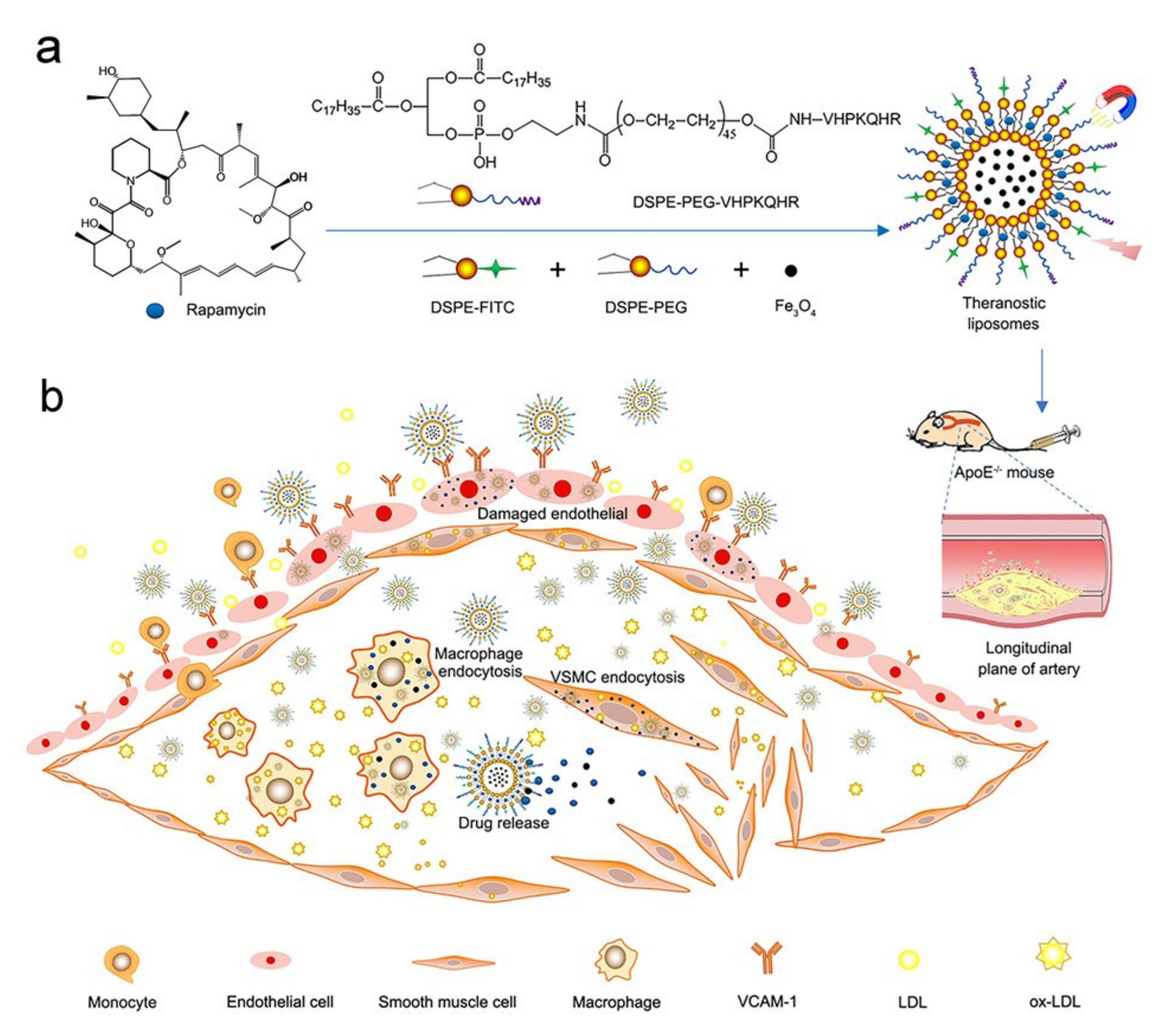 Pharmaceutics 14 01083 sch001 550