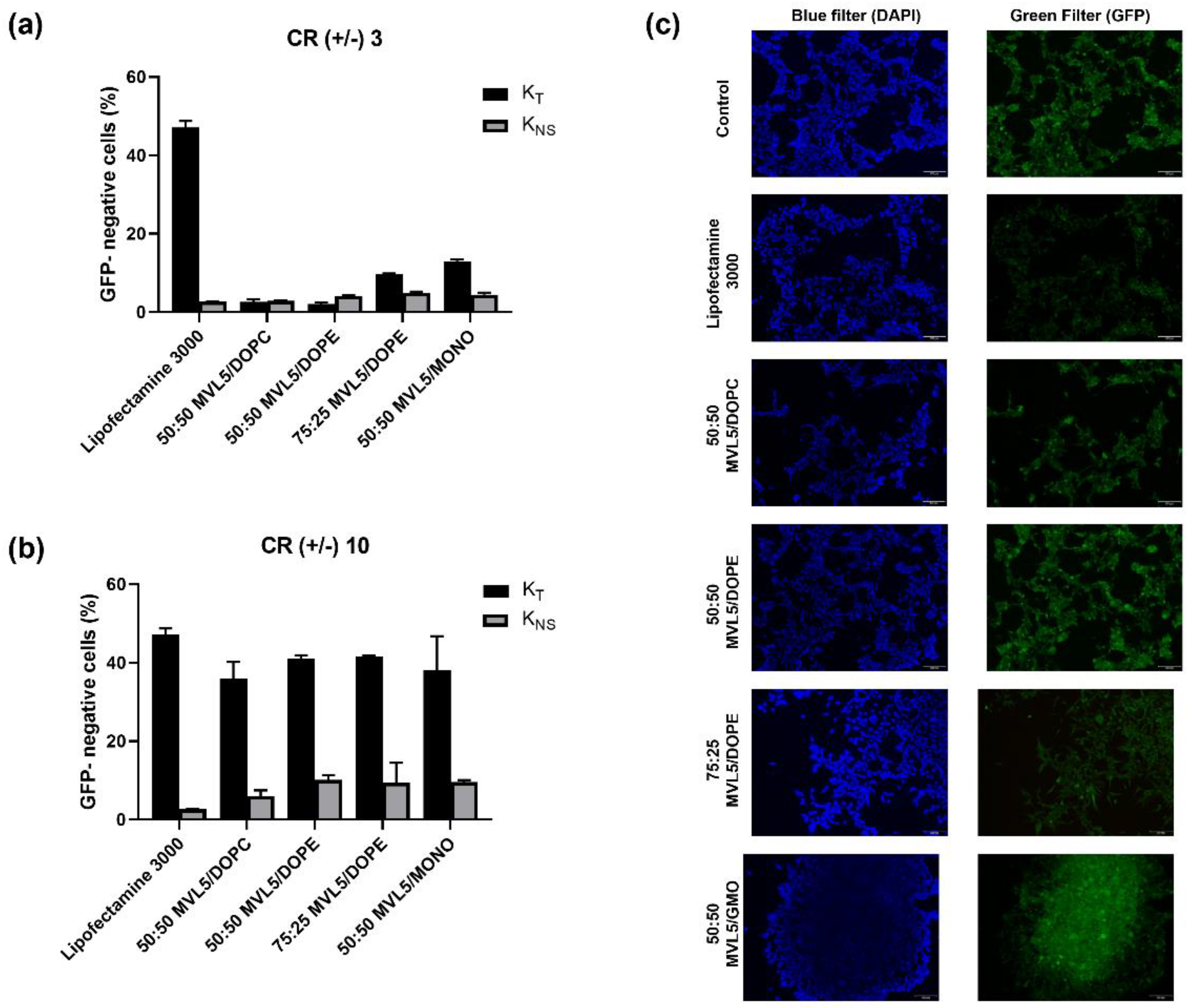 Pharmaceutics 14 01087 g005 Pharmaceutics 14 01087 g005