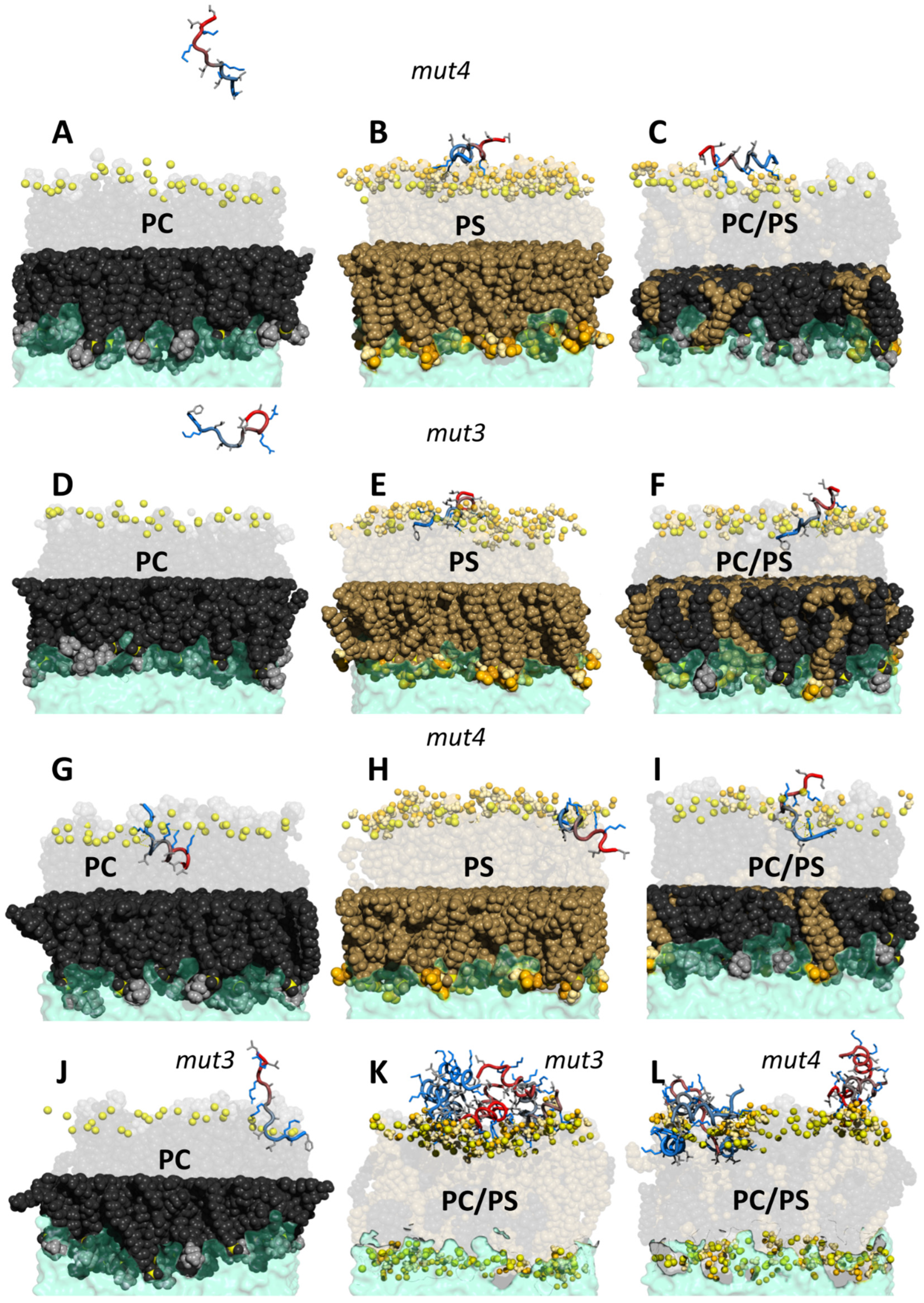 Pharmaceutics 14 01089 g007