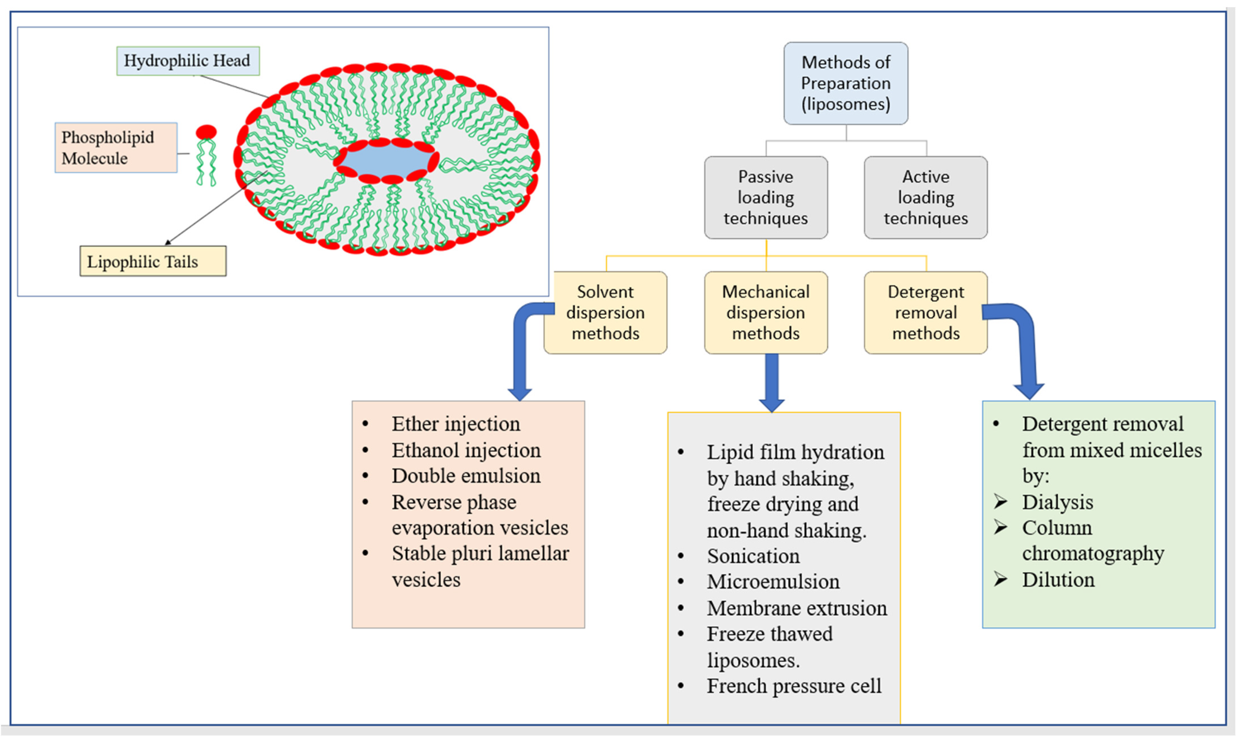 Pharmaceutics 14 01091 g007 Pharmaceutics 14 01091 g007