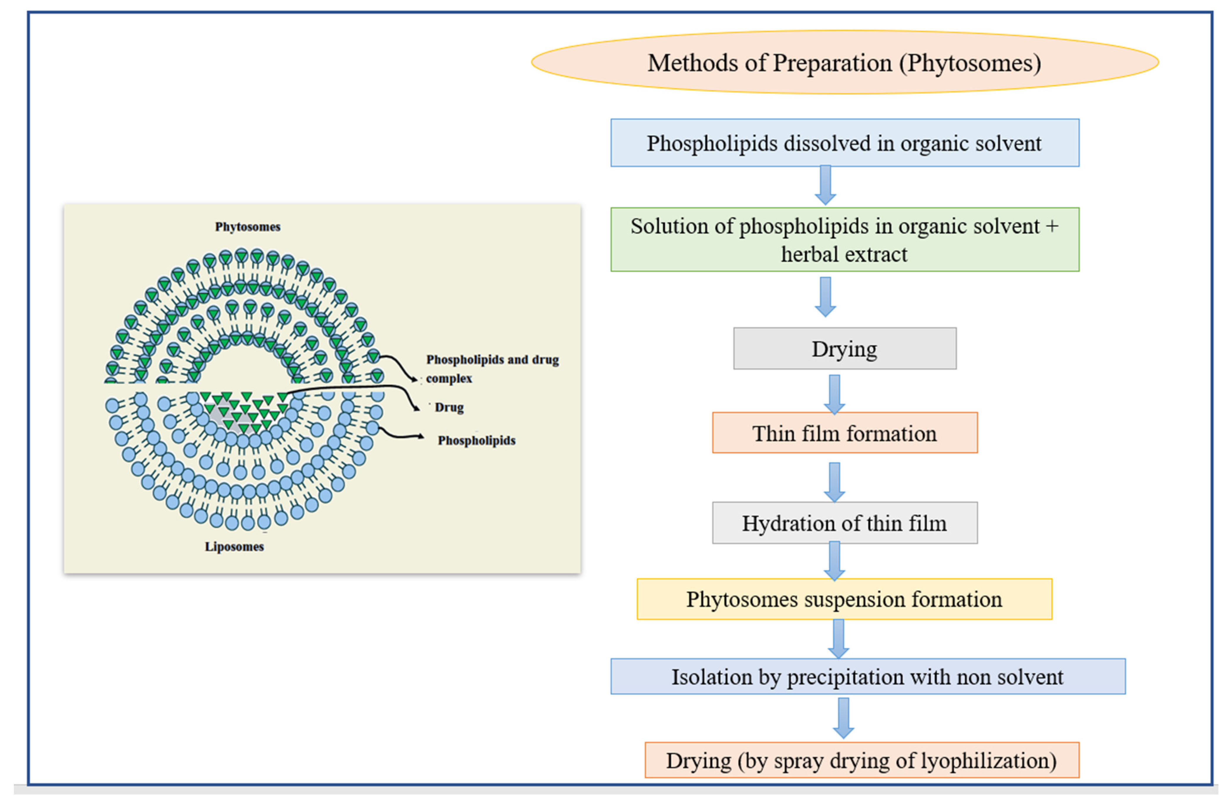 Pharmaceutics 14 01091 g008 Pharmaceutics 14 01091 g008