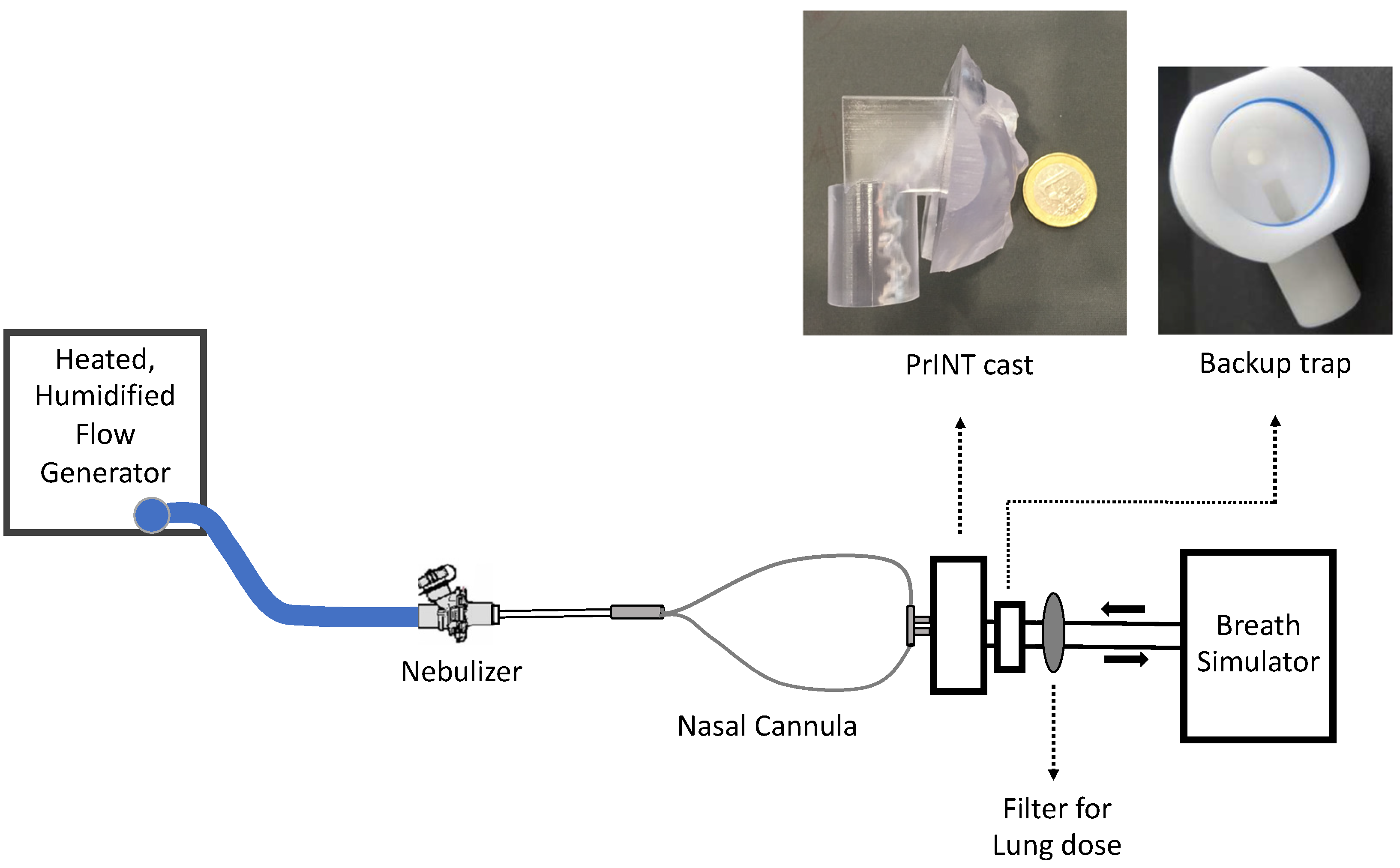 Pharmaceutics 14 01093 g001 550