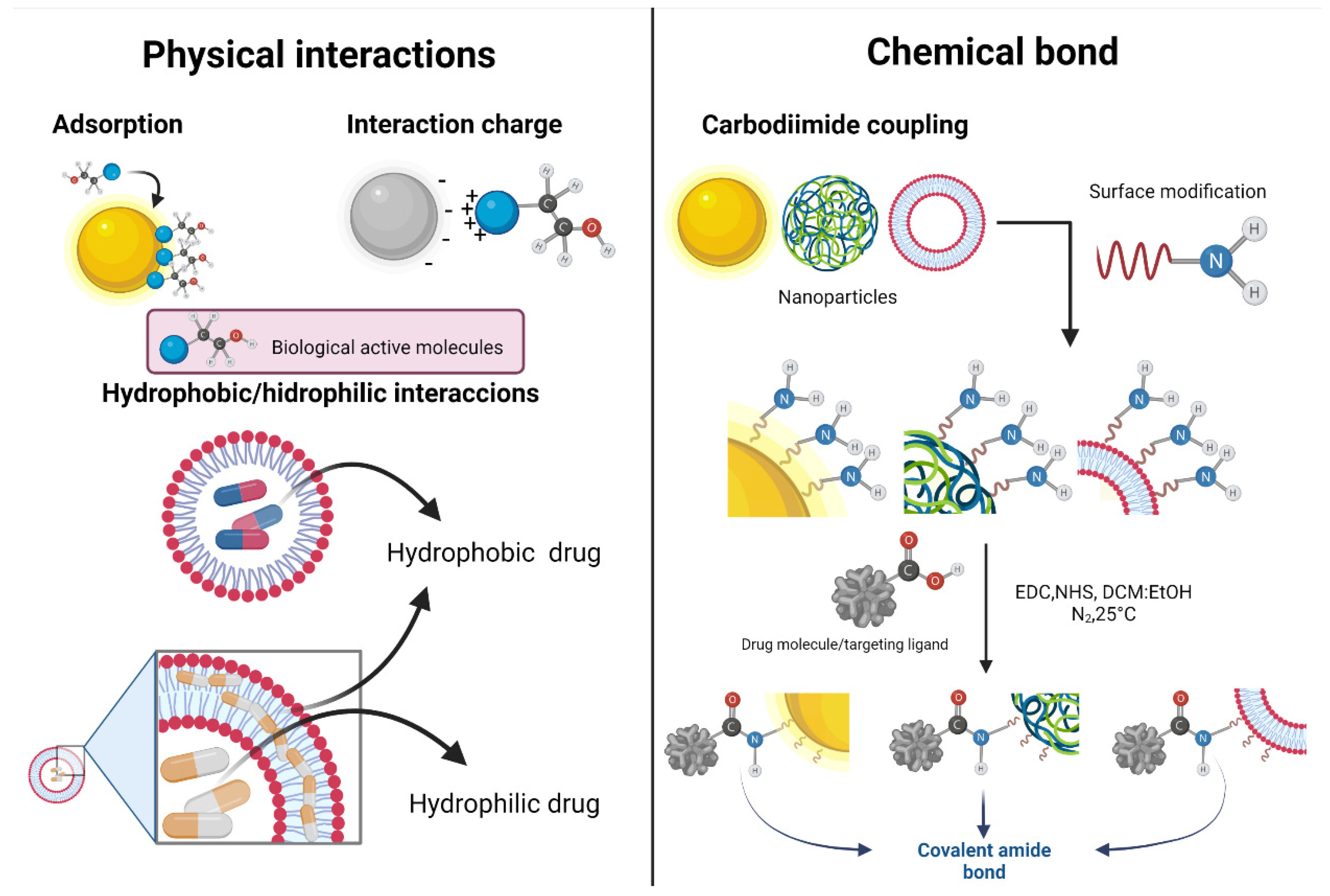 Pharmaceutics 14 01095 g001 550