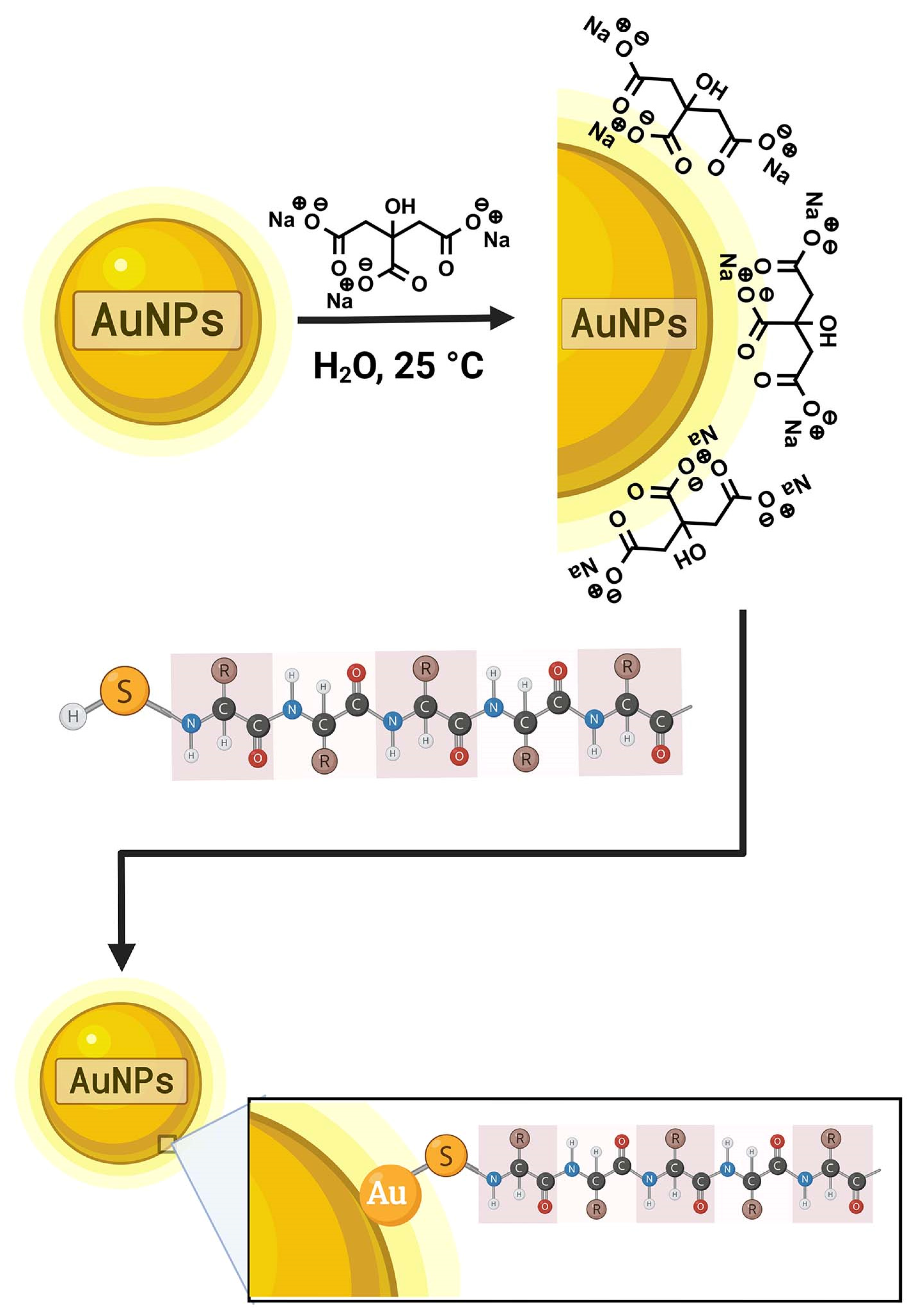 Pharmaceutics 14 01095 g002 550