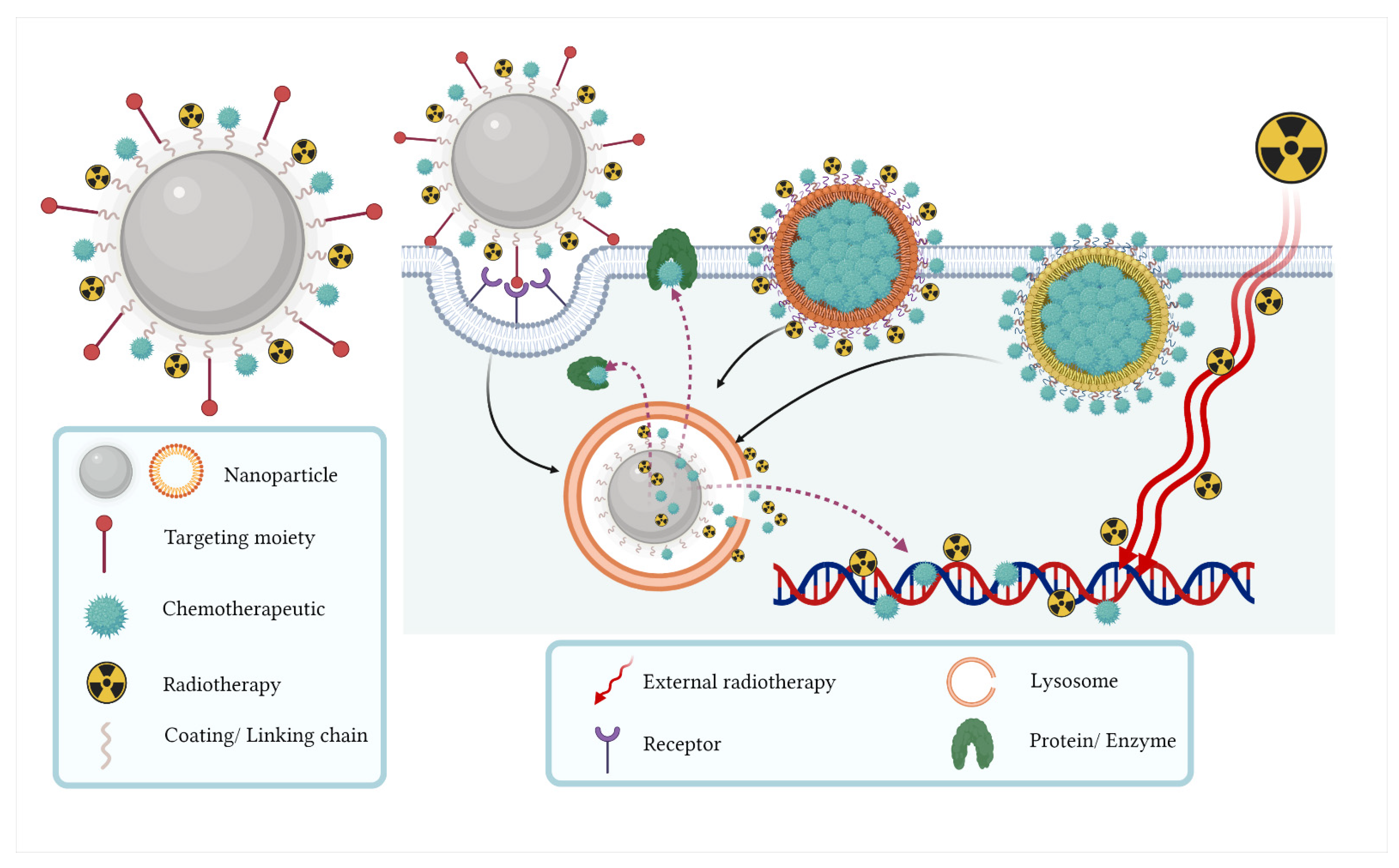Pharmaceutics 14 01095 g004 550
