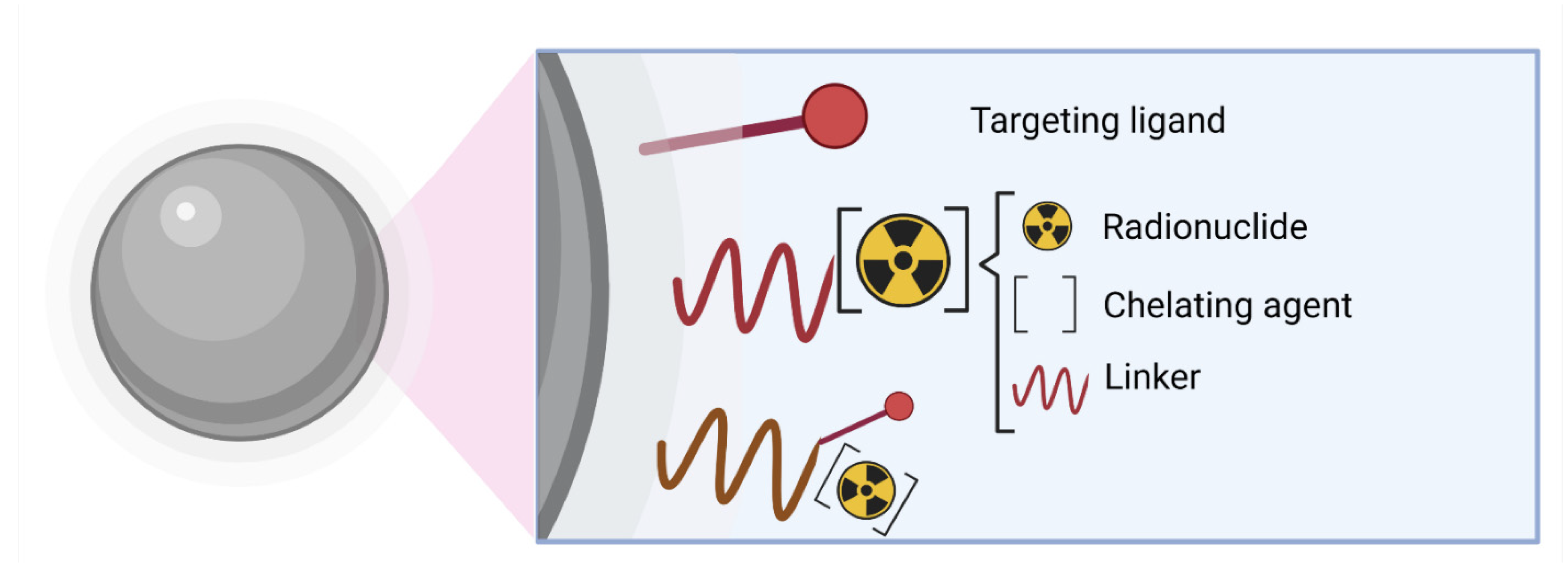 Pharmaceutics 14 01095 g005 550