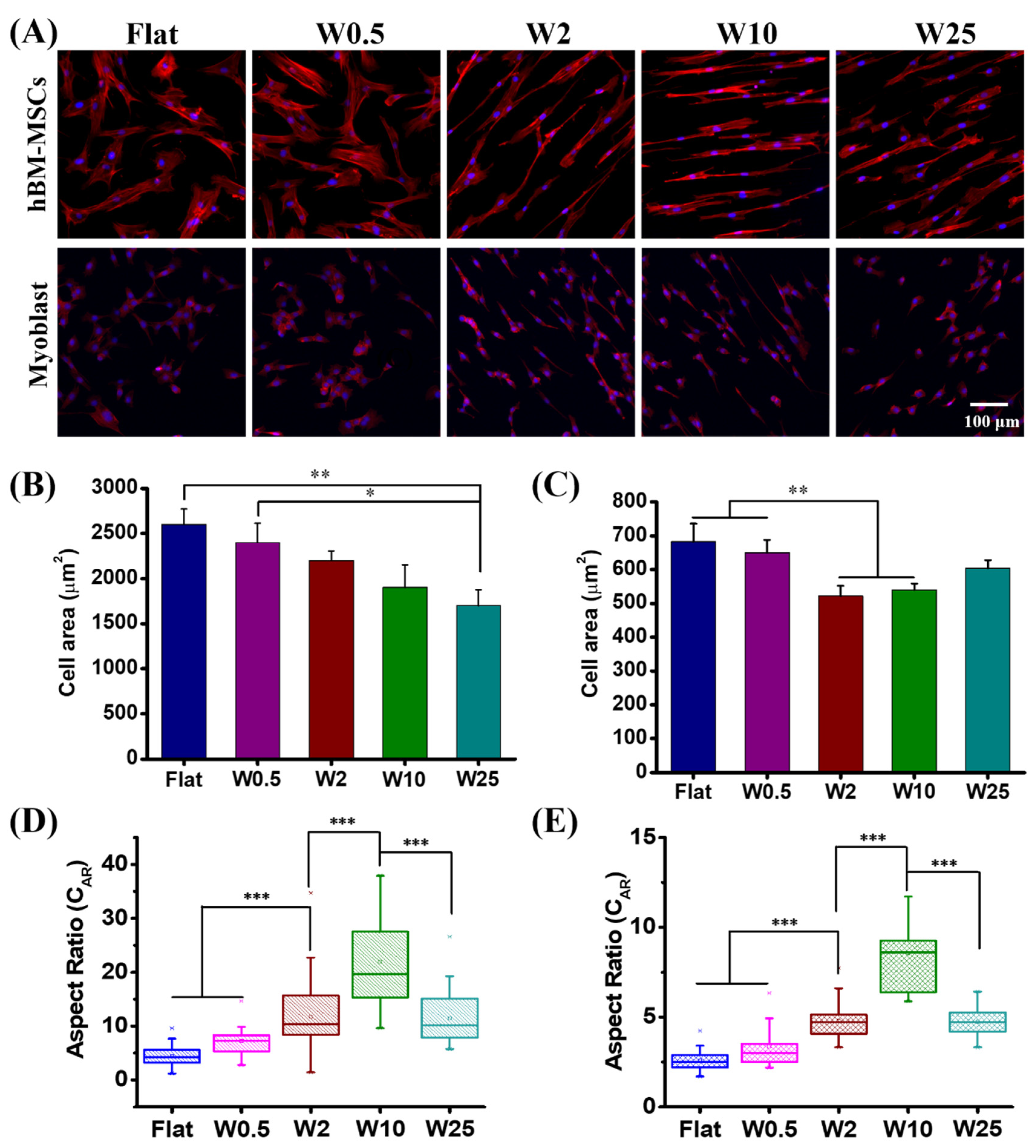 Pharmaceutics 14 01096 g002 550