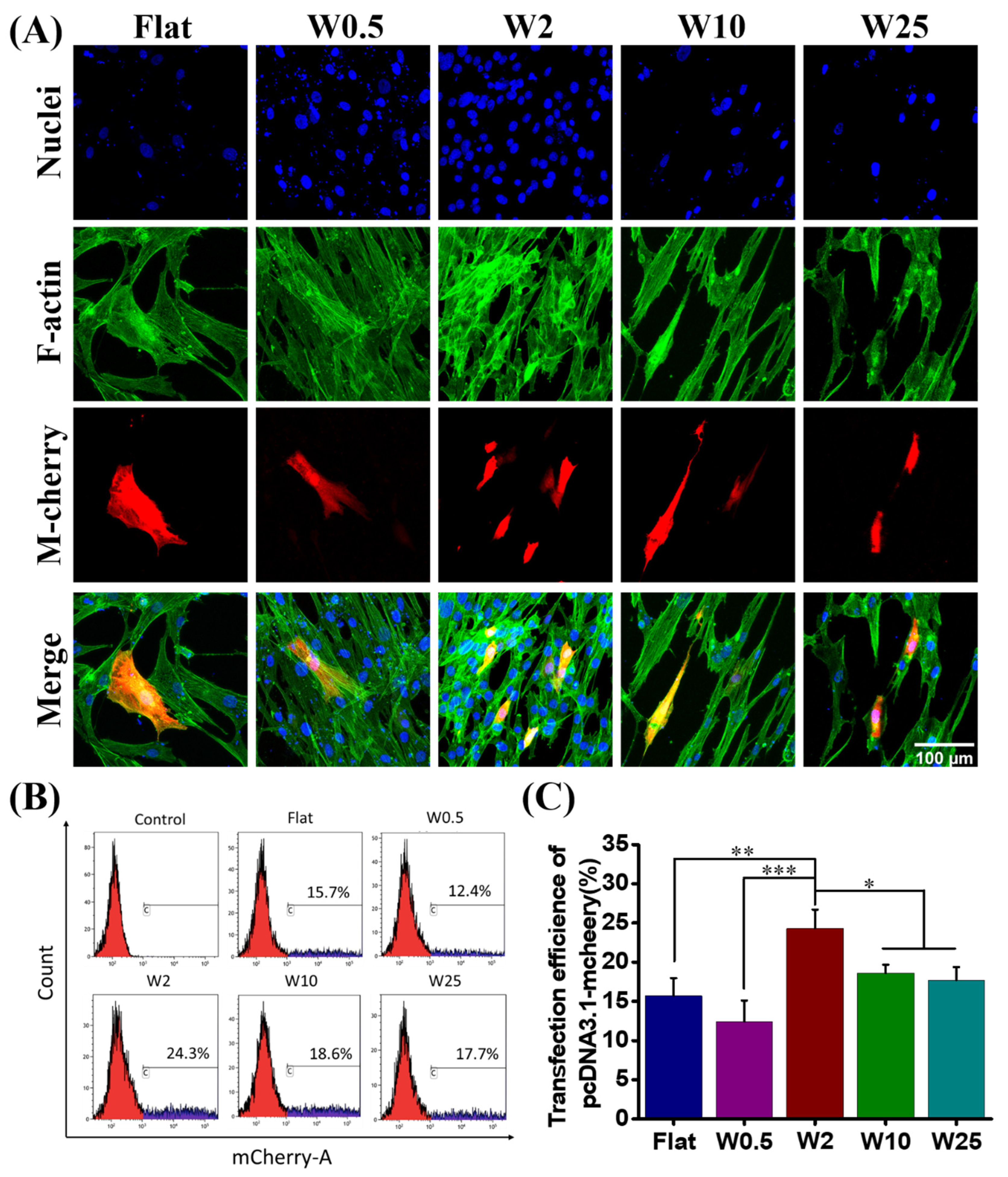 Pharmaceutics 14 01096 g003 550