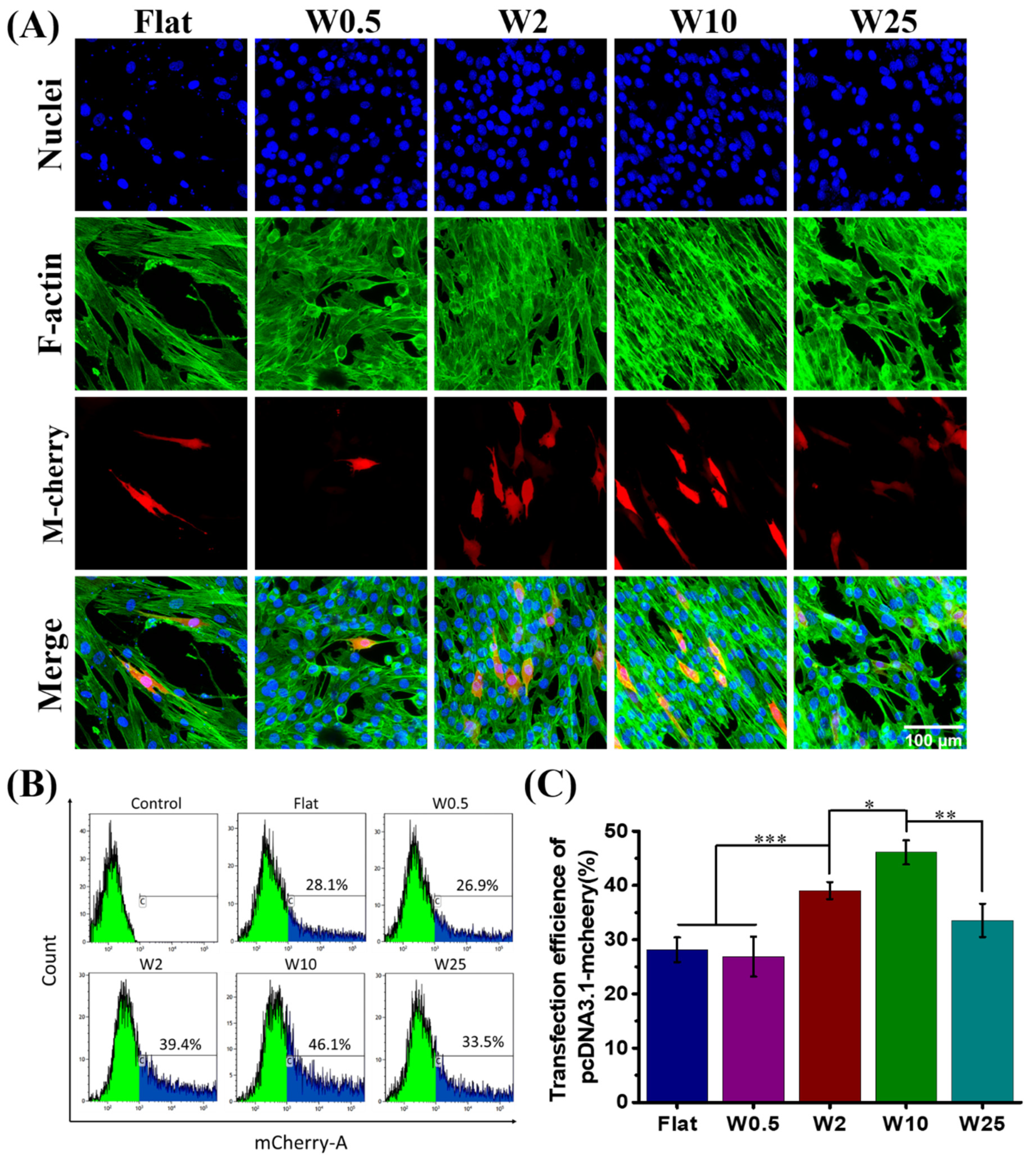 Pharmaceutics 14 01096 g004 550