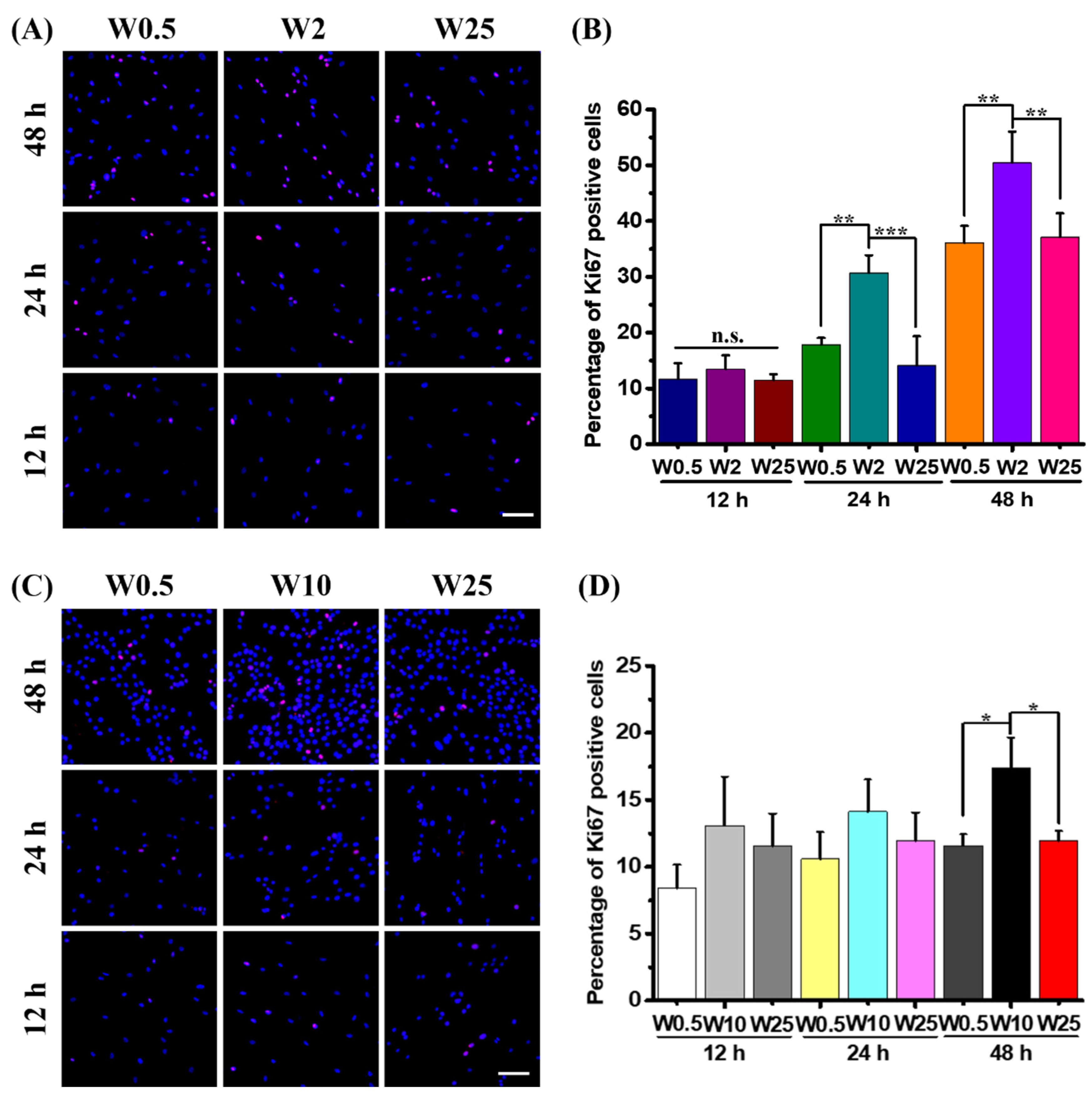 Pharmaceutics 14 01096 g006 550