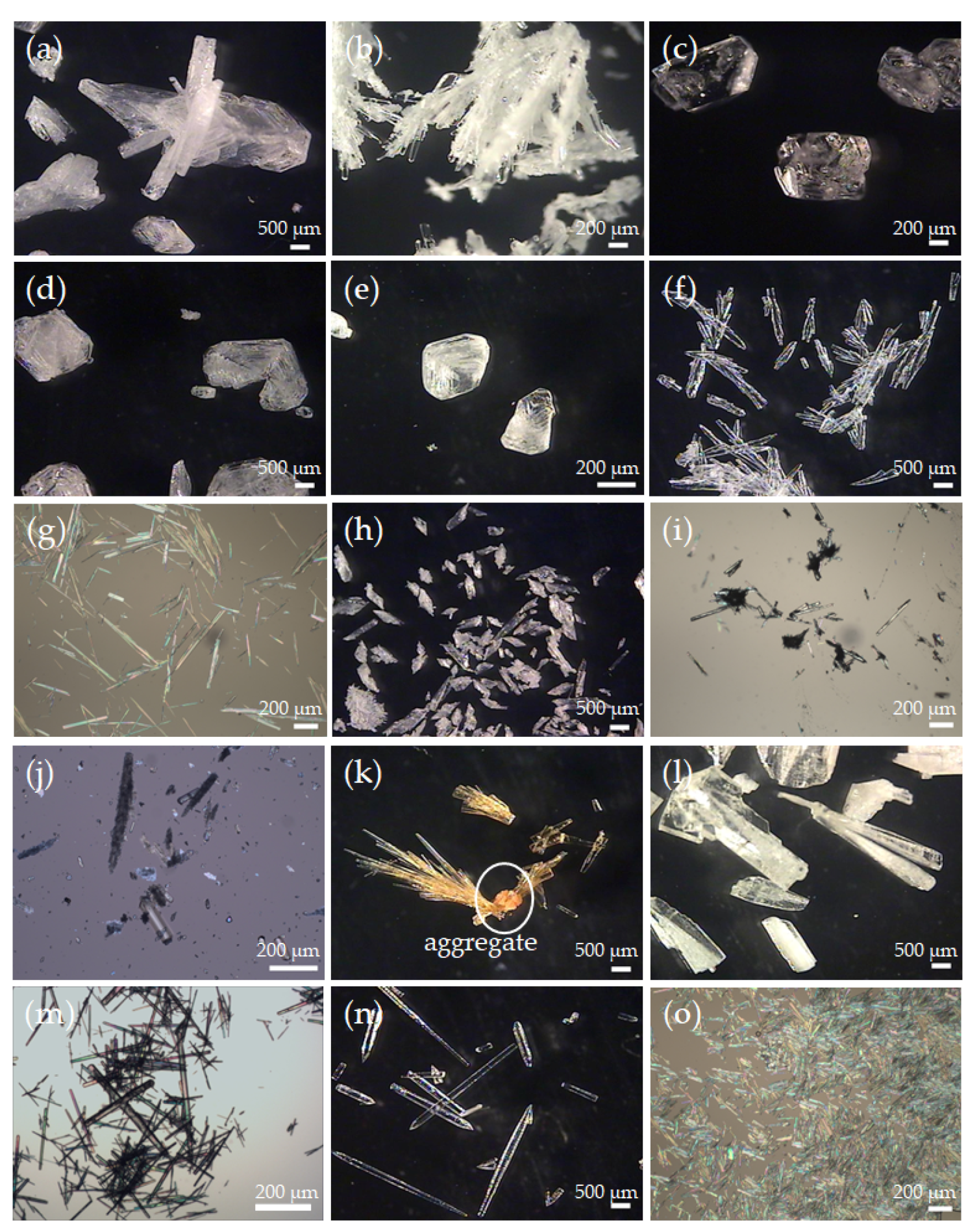 Pharmaceutics 14 01099 g004