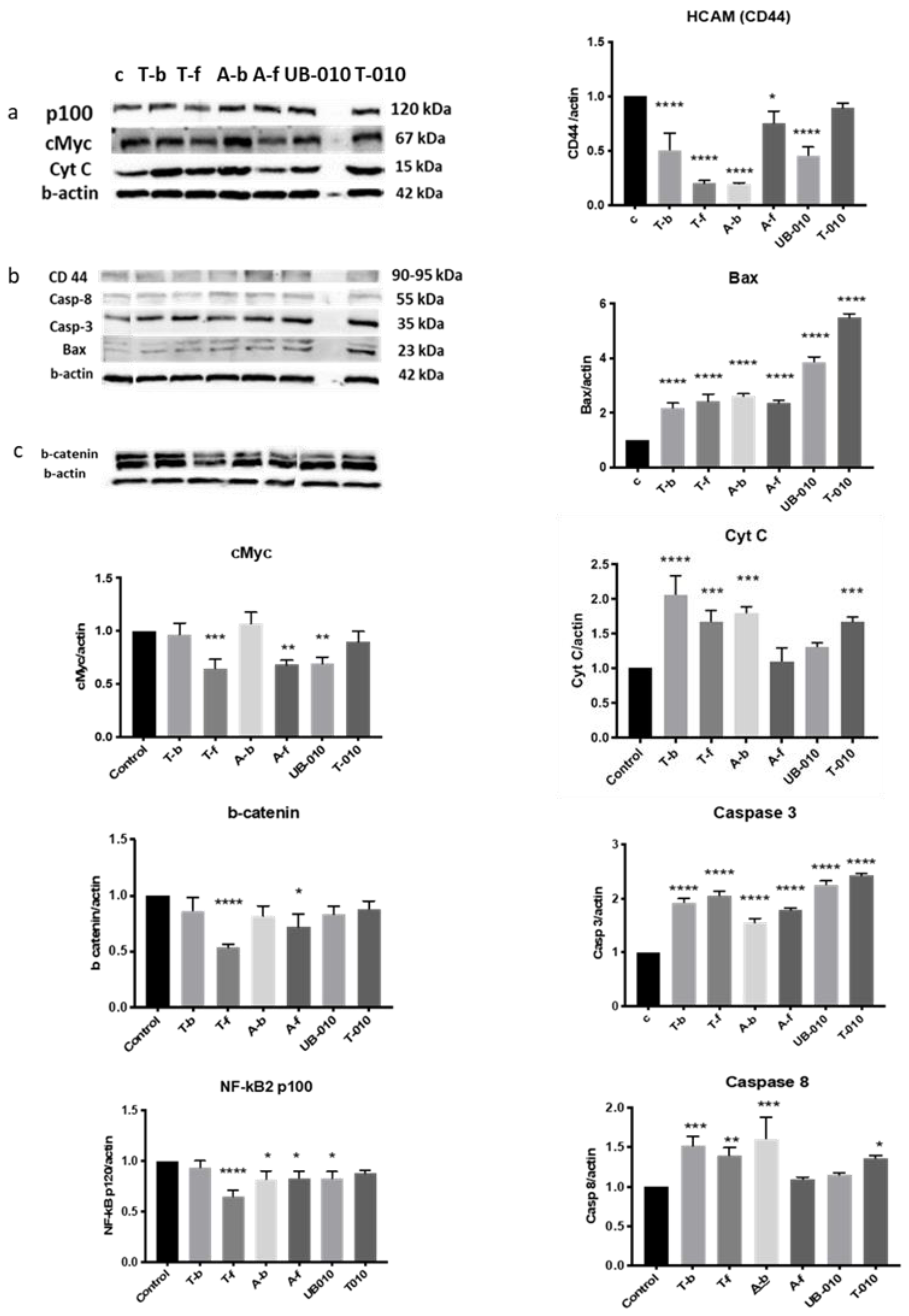 Pharmaceutics 14 01100 g007 Pharmaceutics 14 01100 g007