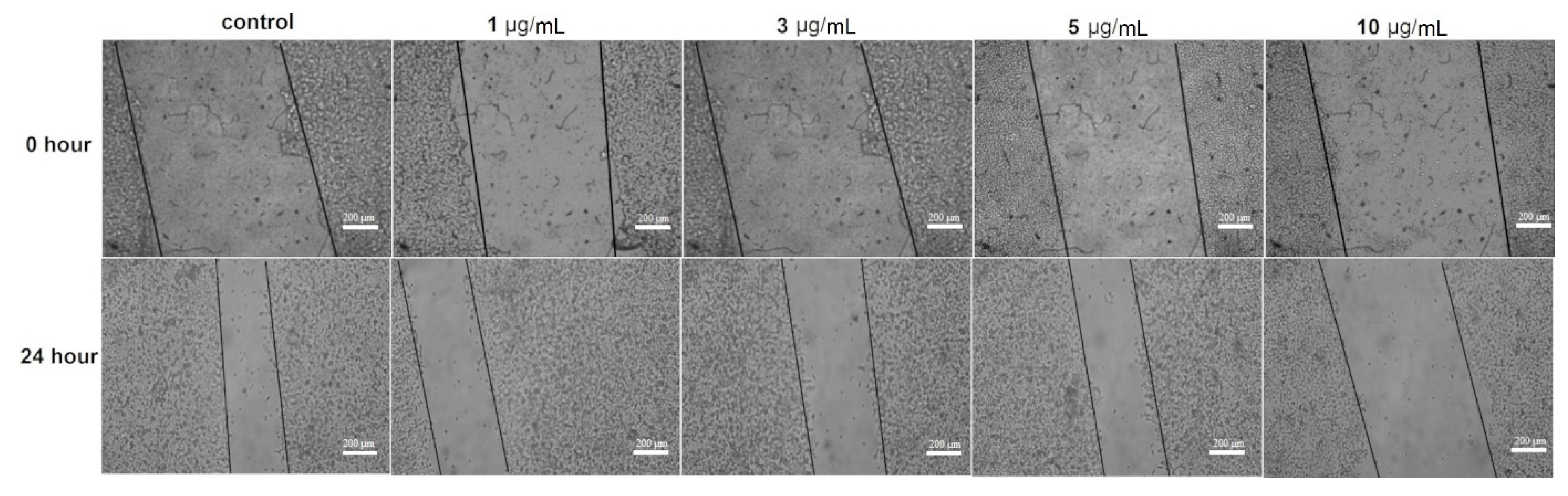 Pharmaceutics 14 01104 g008