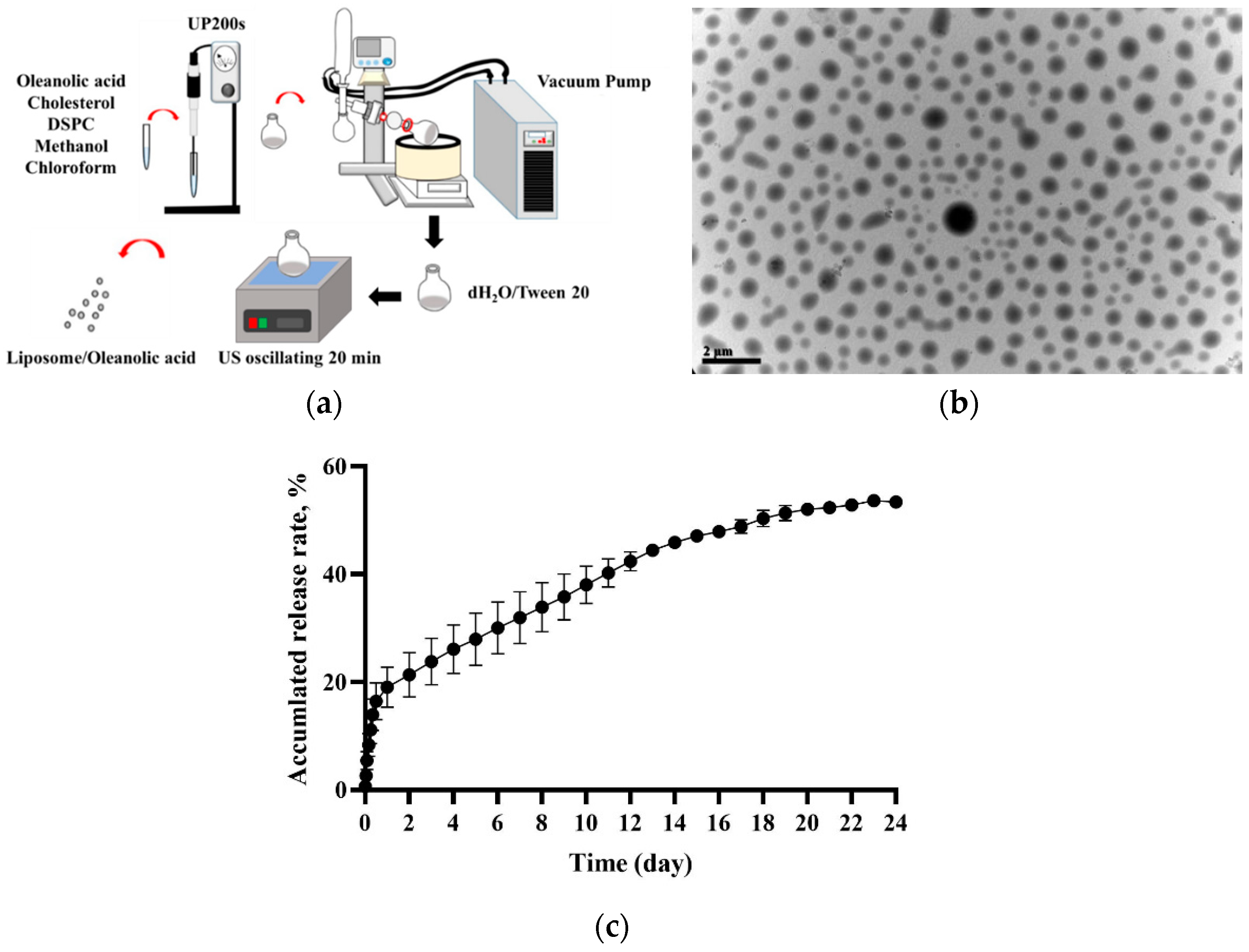 Pharmaceutics 14 01108 g001