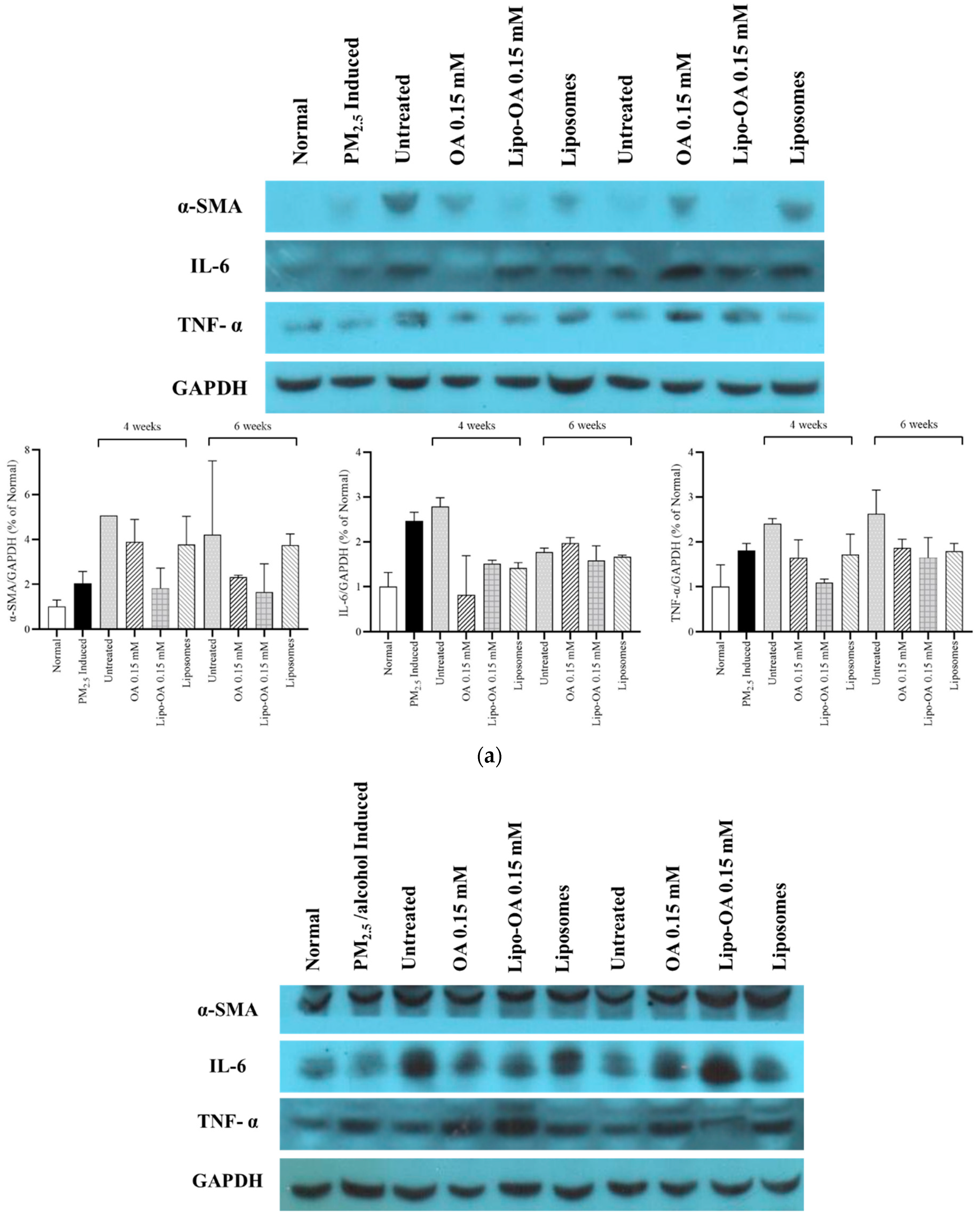 Pharmaceutics 14 01108 g007a