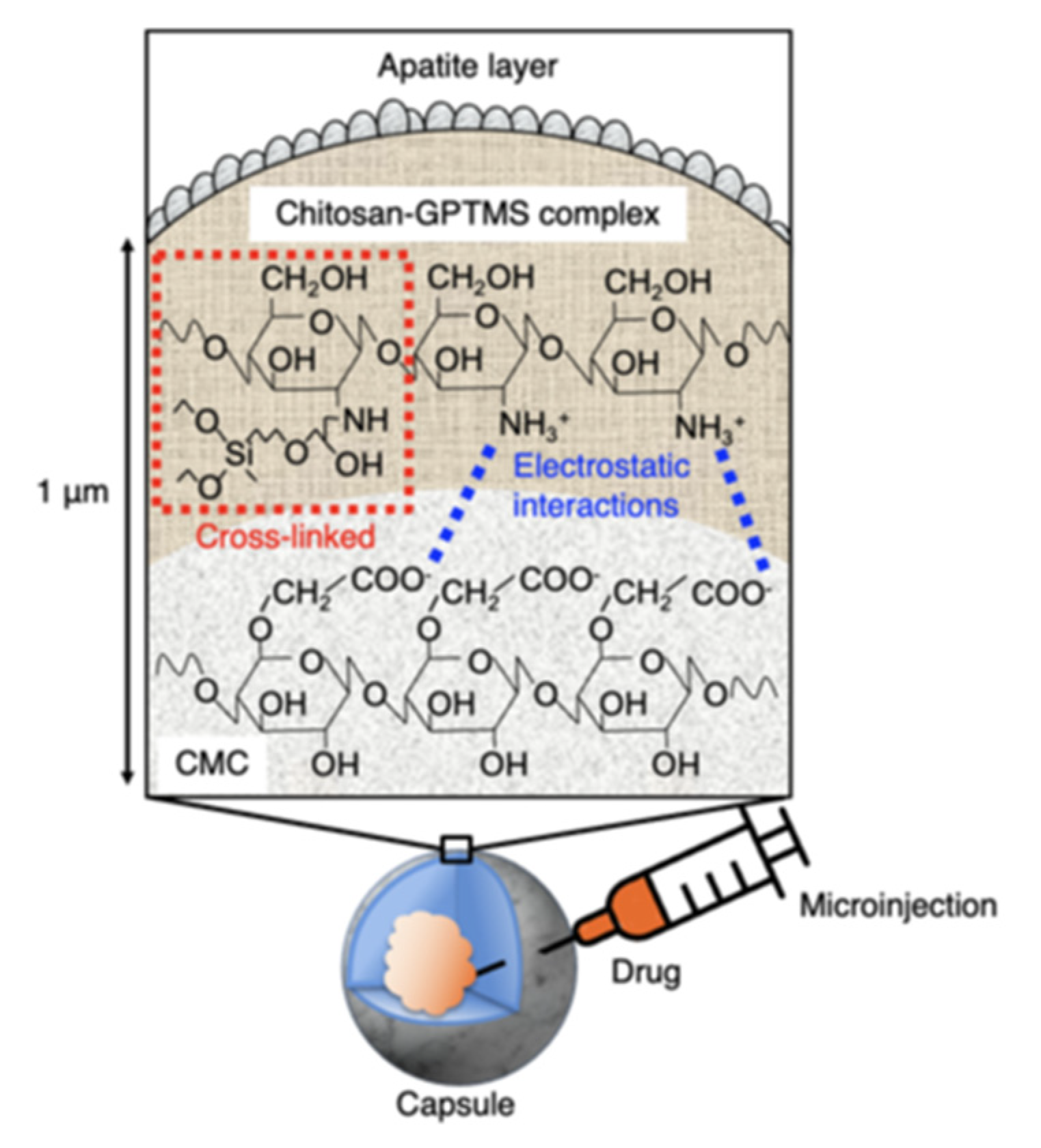 Pharmaceutics 14 01111 g007 550