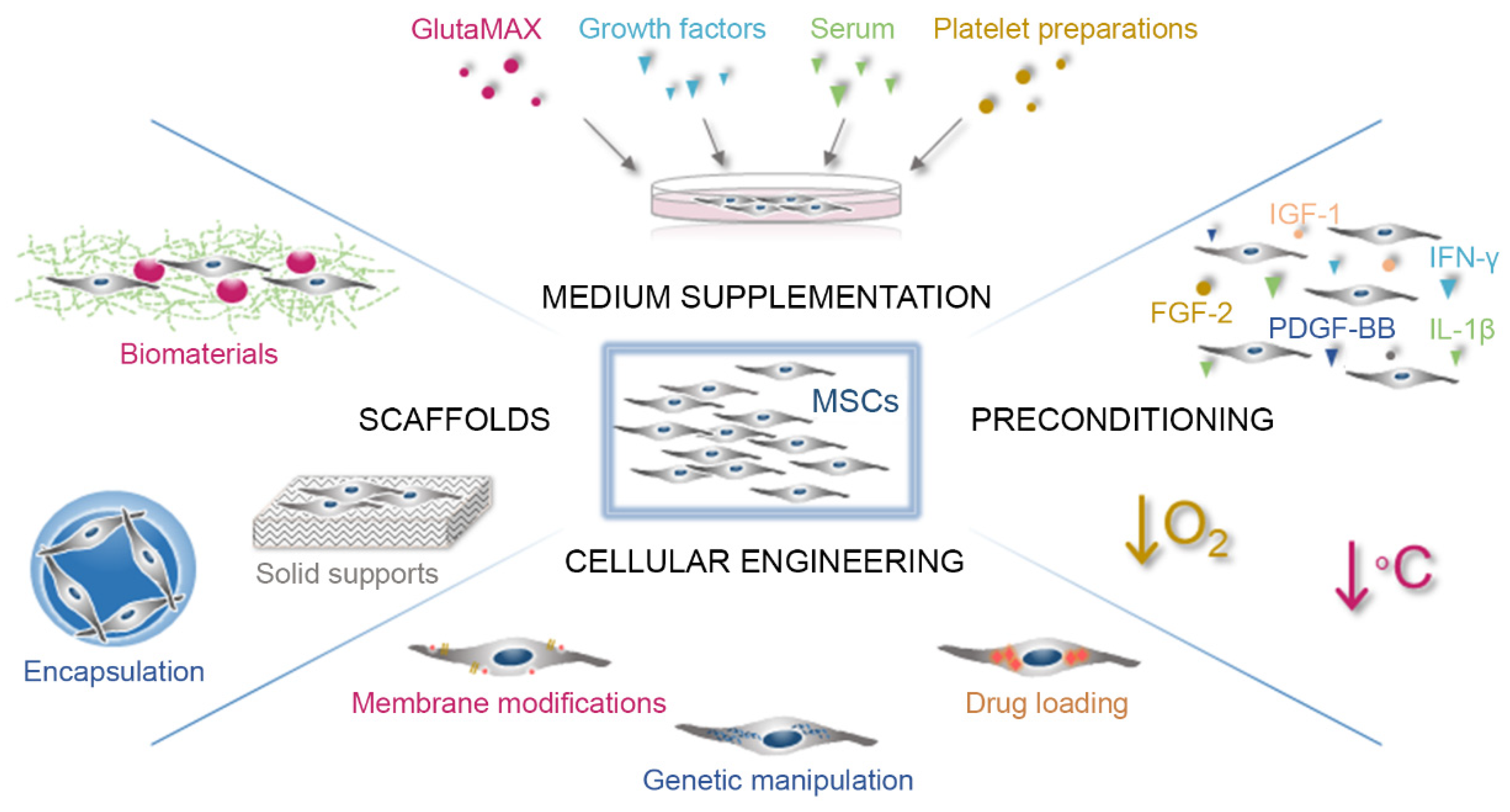 Pharmaceutics 14 01112 g002 Pharmaceutics 14 01112 g002