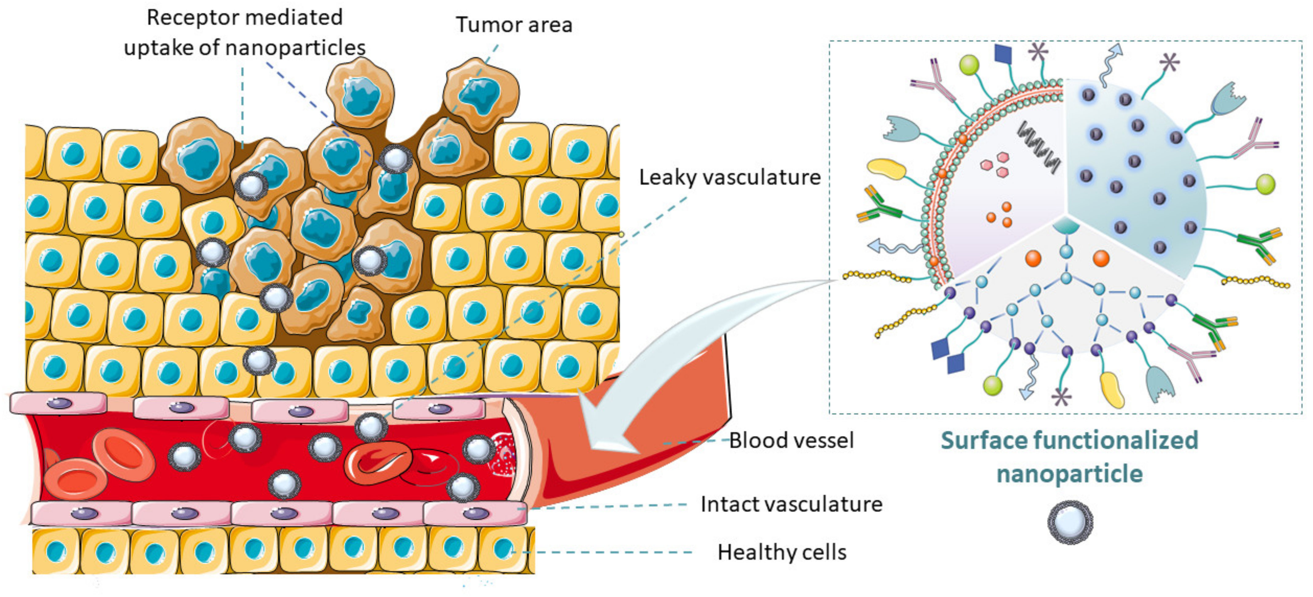 Pharmaceutics 14 01113 g001 Pharmaceutics 14 01113 g001