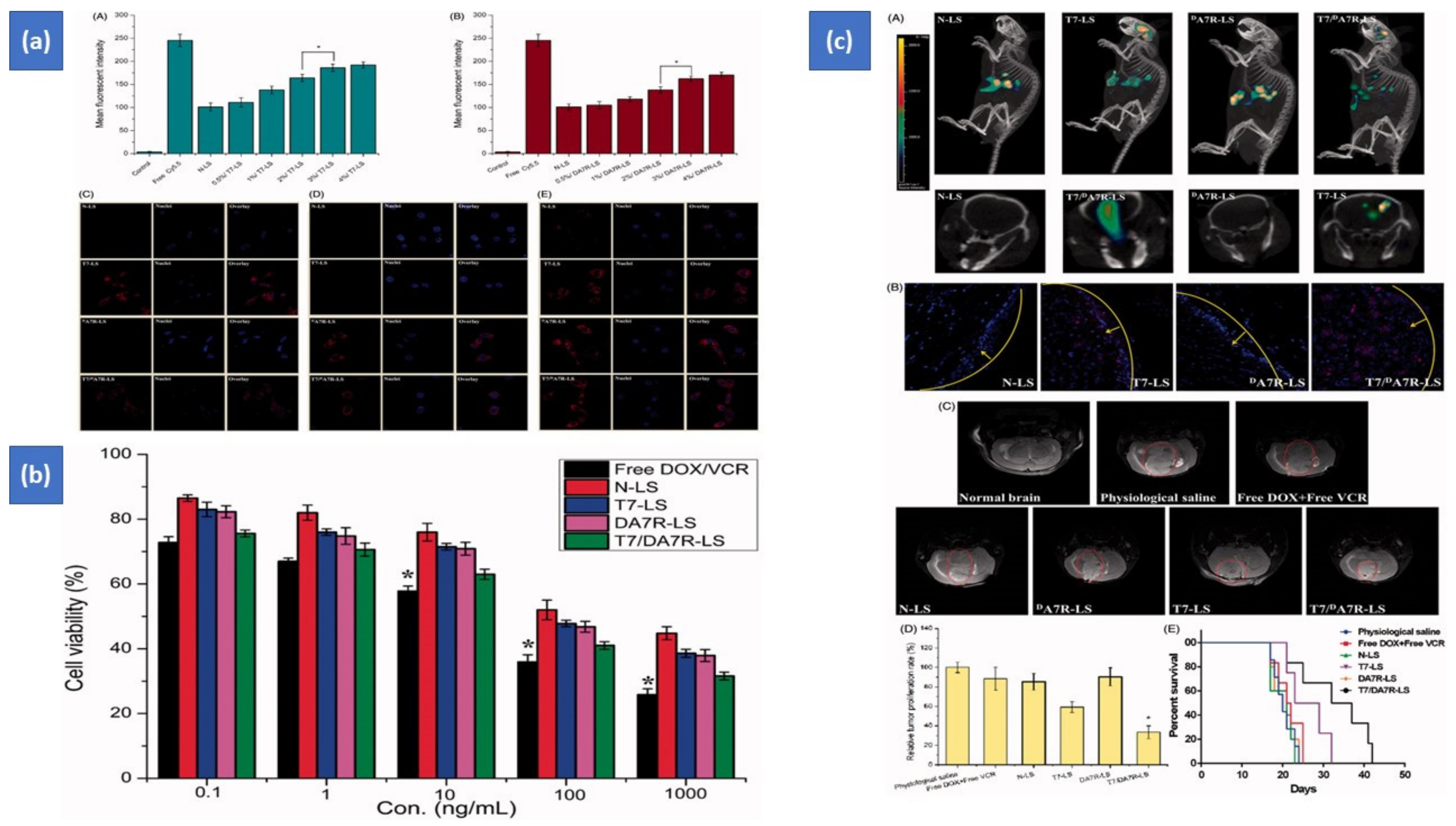 Pharmaceutics 14 01113 g003 Pharmaceutics 14 01113 g003