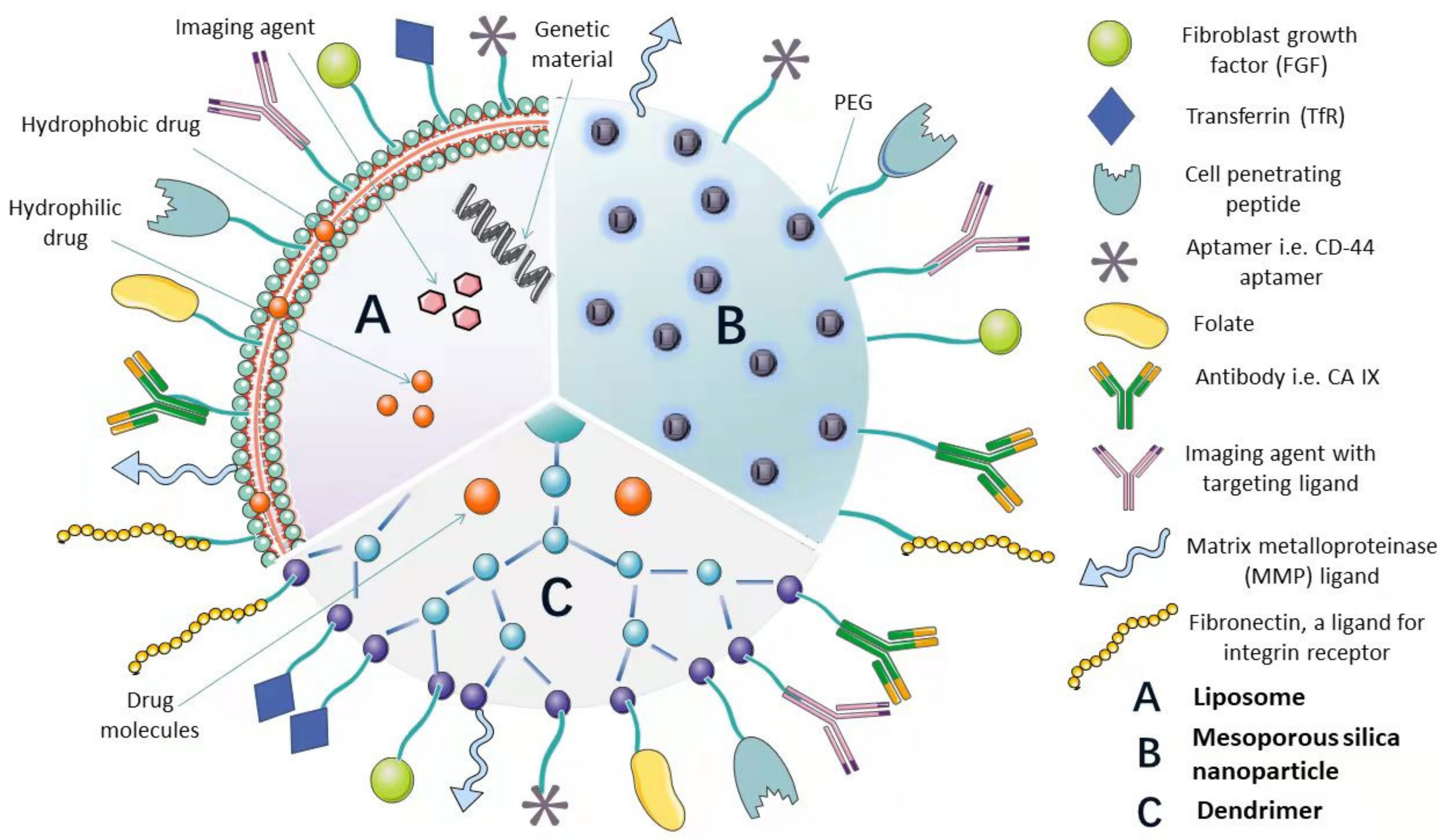 Pharmaceutics 14 01113 g004 Pharmaceutics 14 01113 g004