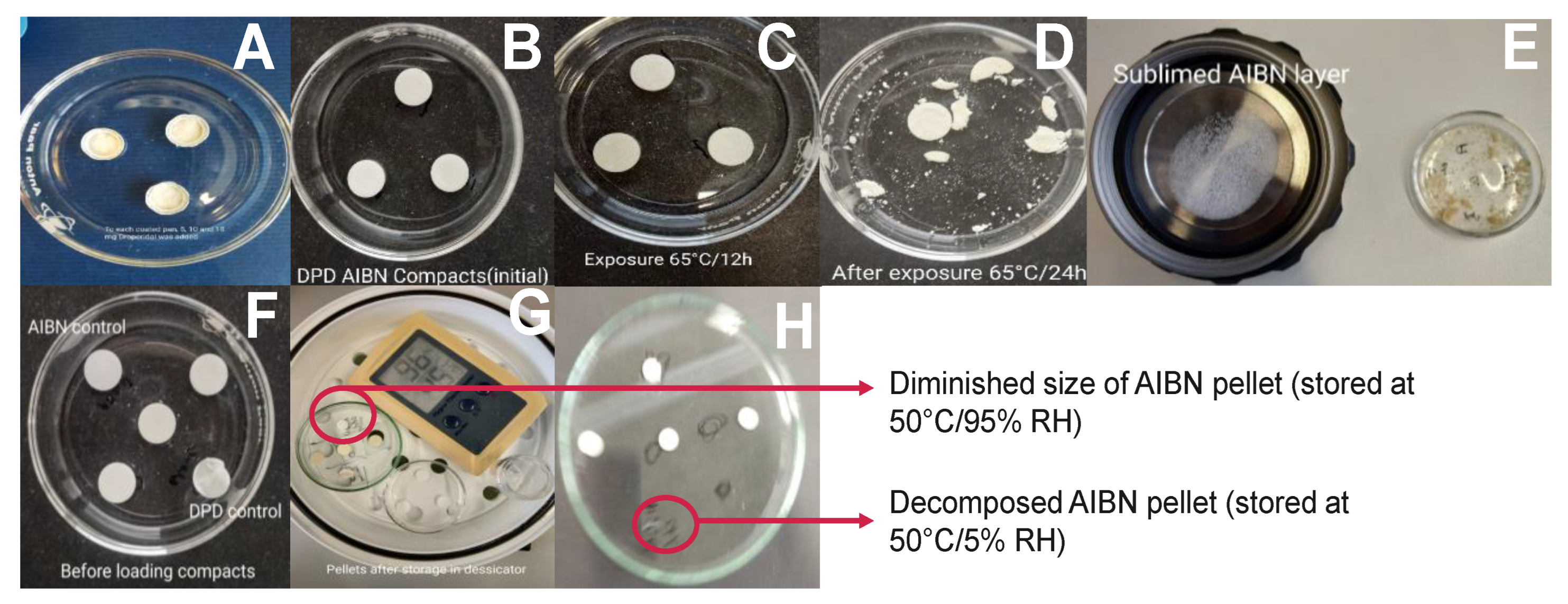 Pharmaceutics 14 01114 g002