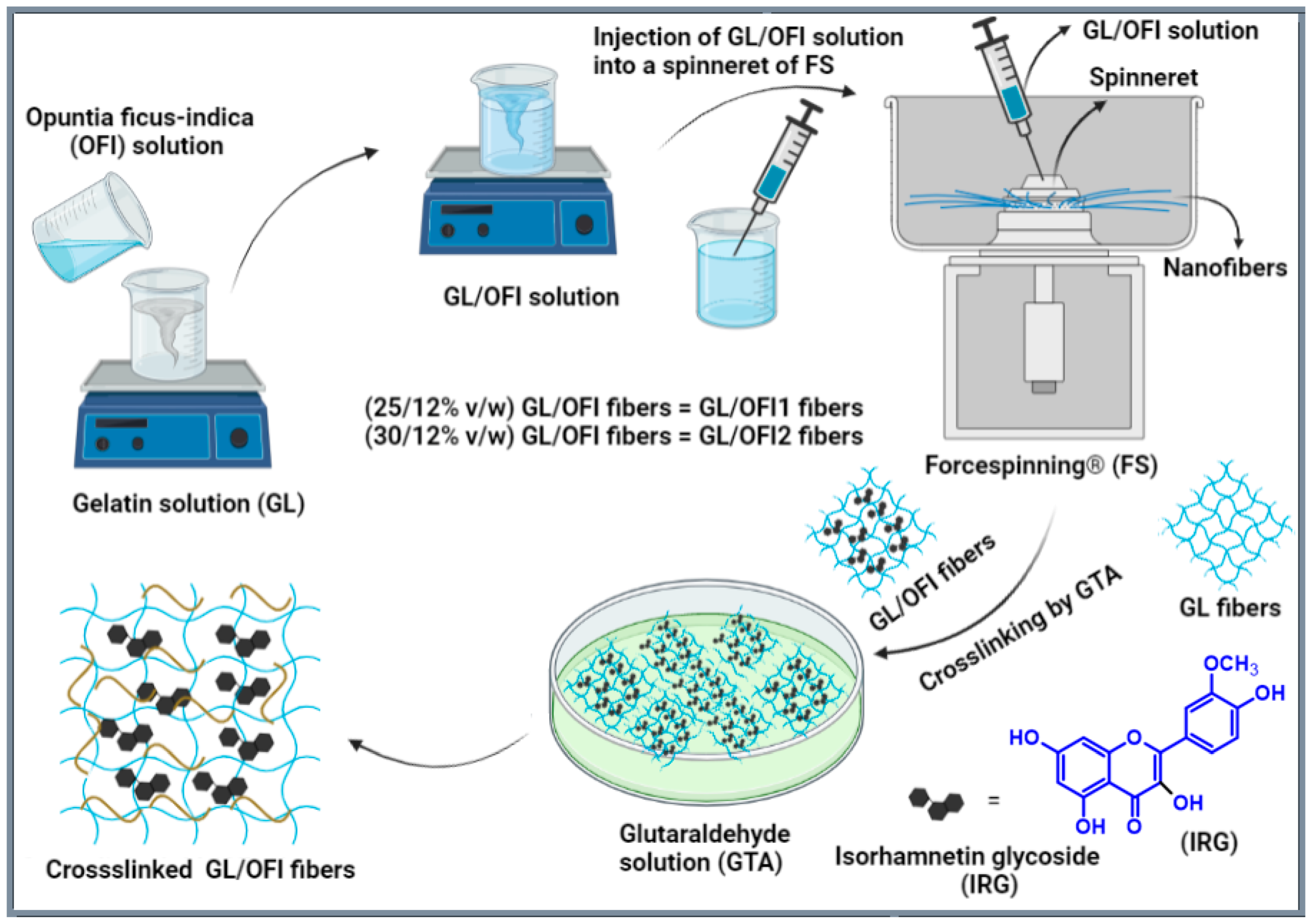 Pharmaceutics 14 01116 g001