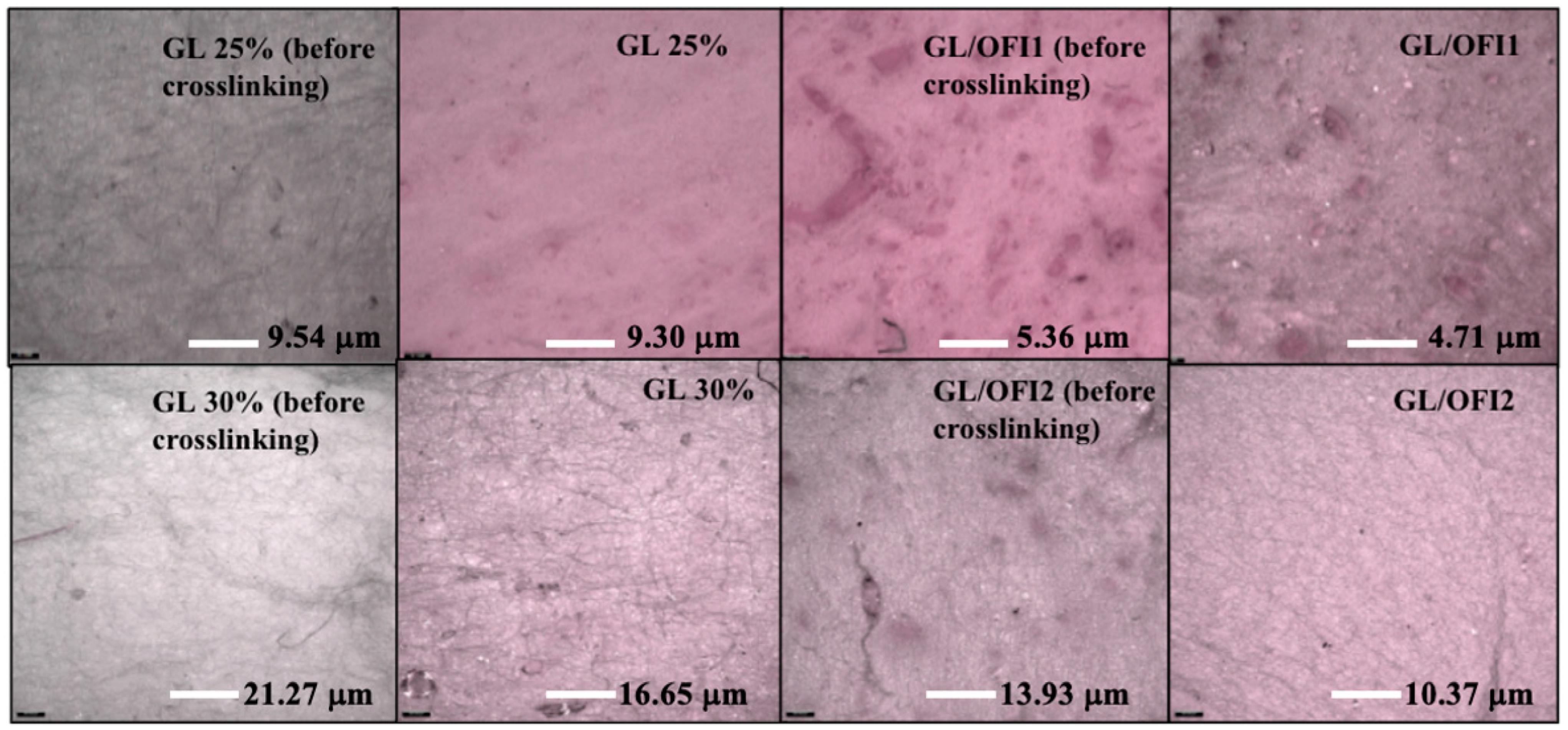Pharmaceutics 14 01116 g005