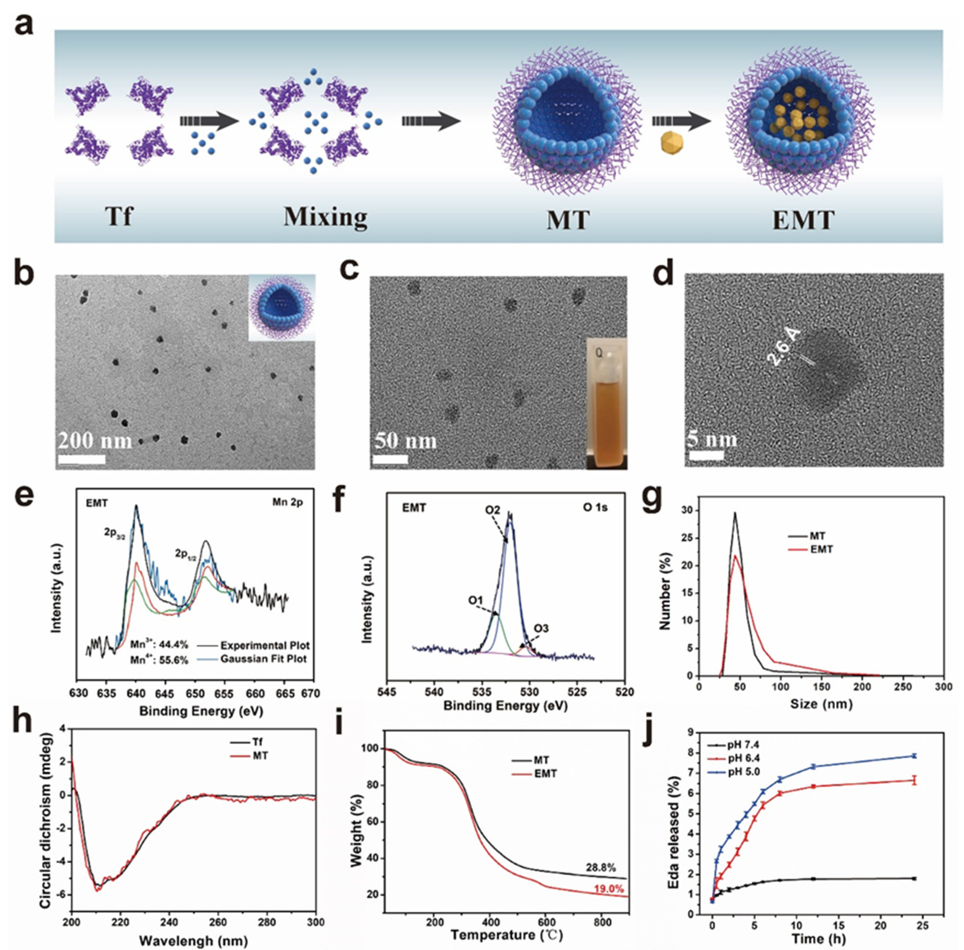 Pharmaceutics 14 01122 g001 550