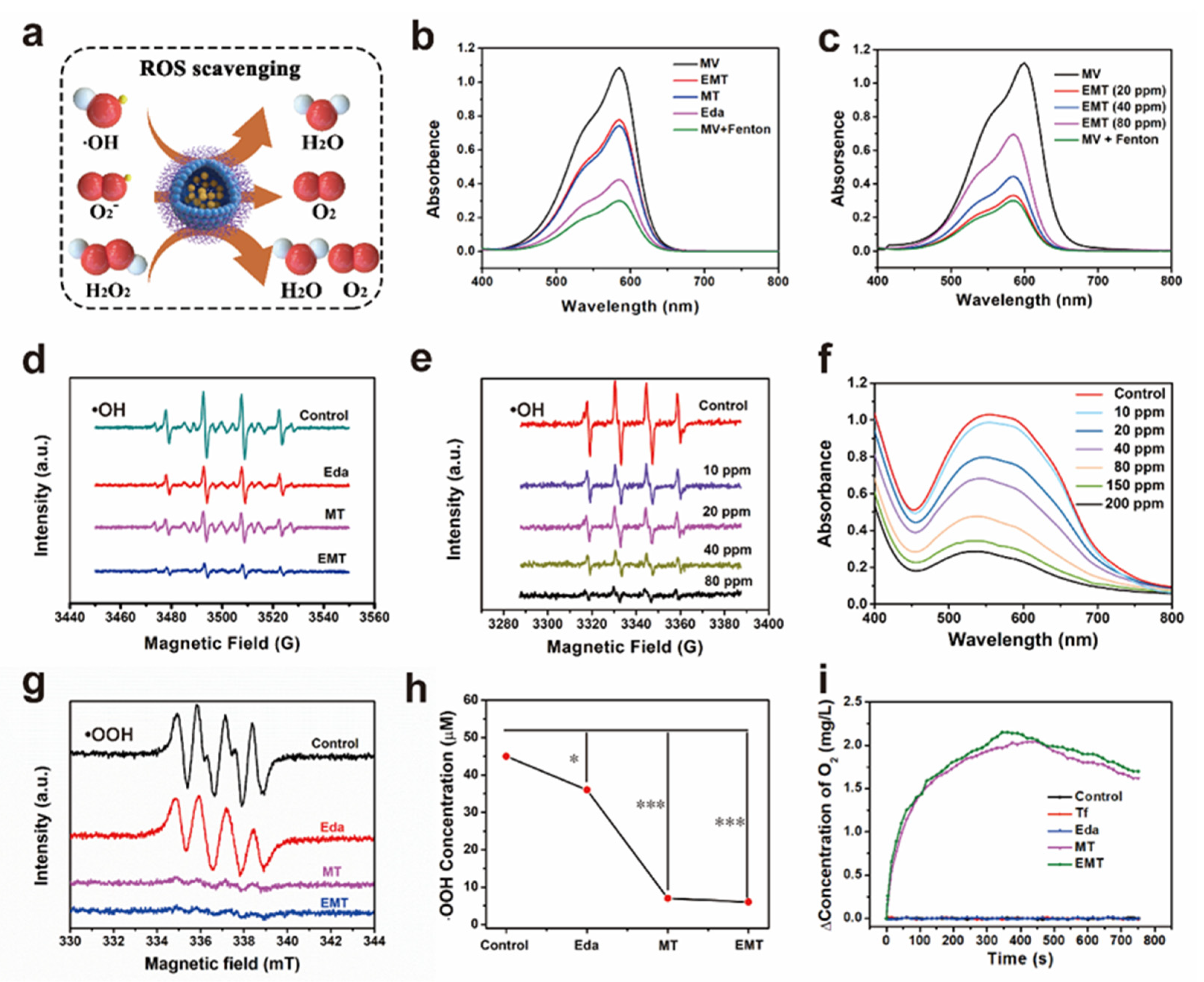 Pharmaceutics 14 01122 g002 550